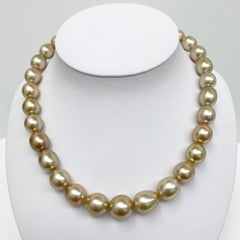 Golden South Sea Drop/Oval Pearl Necklace with Gold Clasp