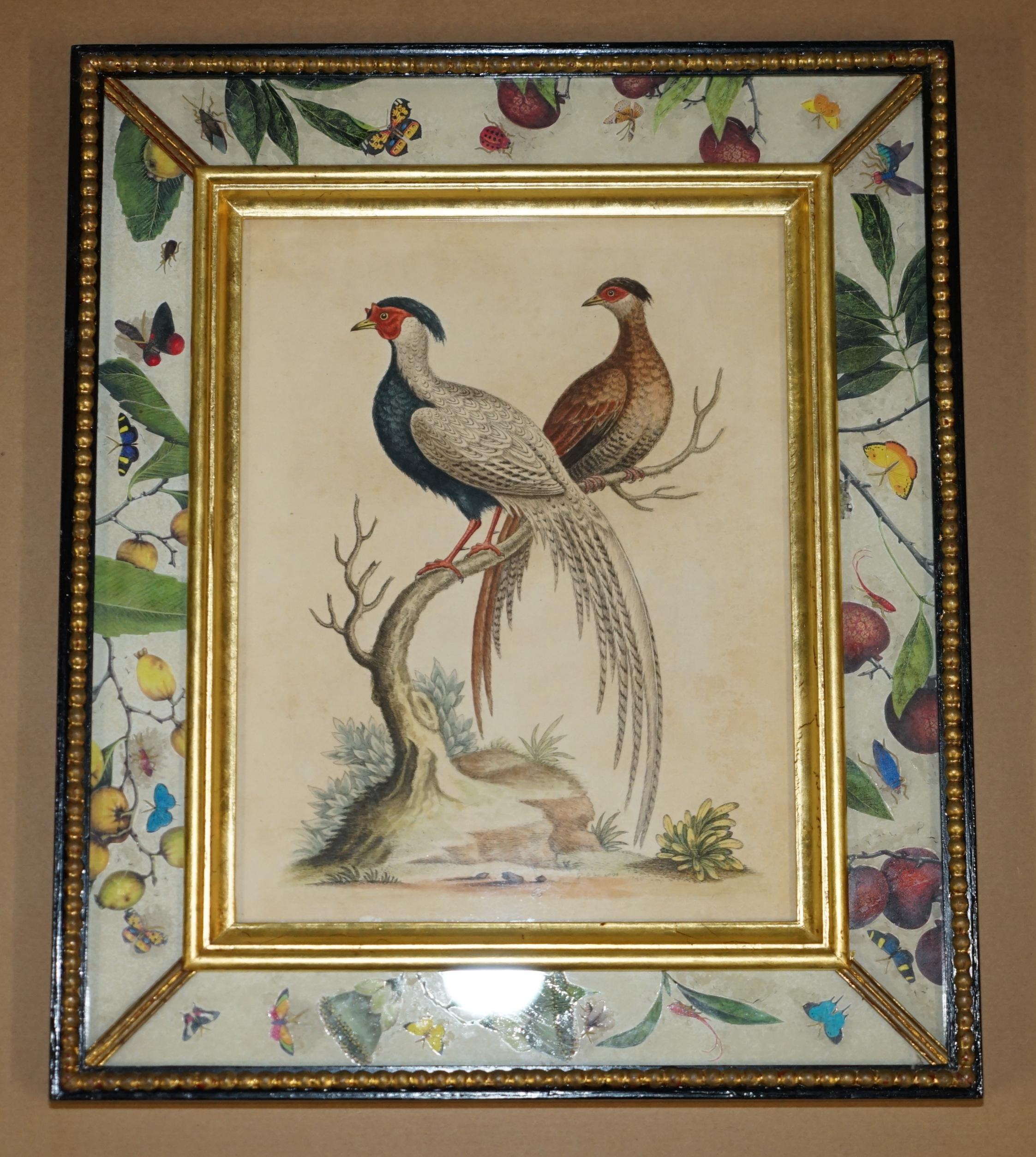 Hand-Crafted 12 ANTIQUE 1740 GEORGE EDWARDS HAND COLOURED ORNITHOLOGICAL ENGRAVINGS OF BIRDs For Sale