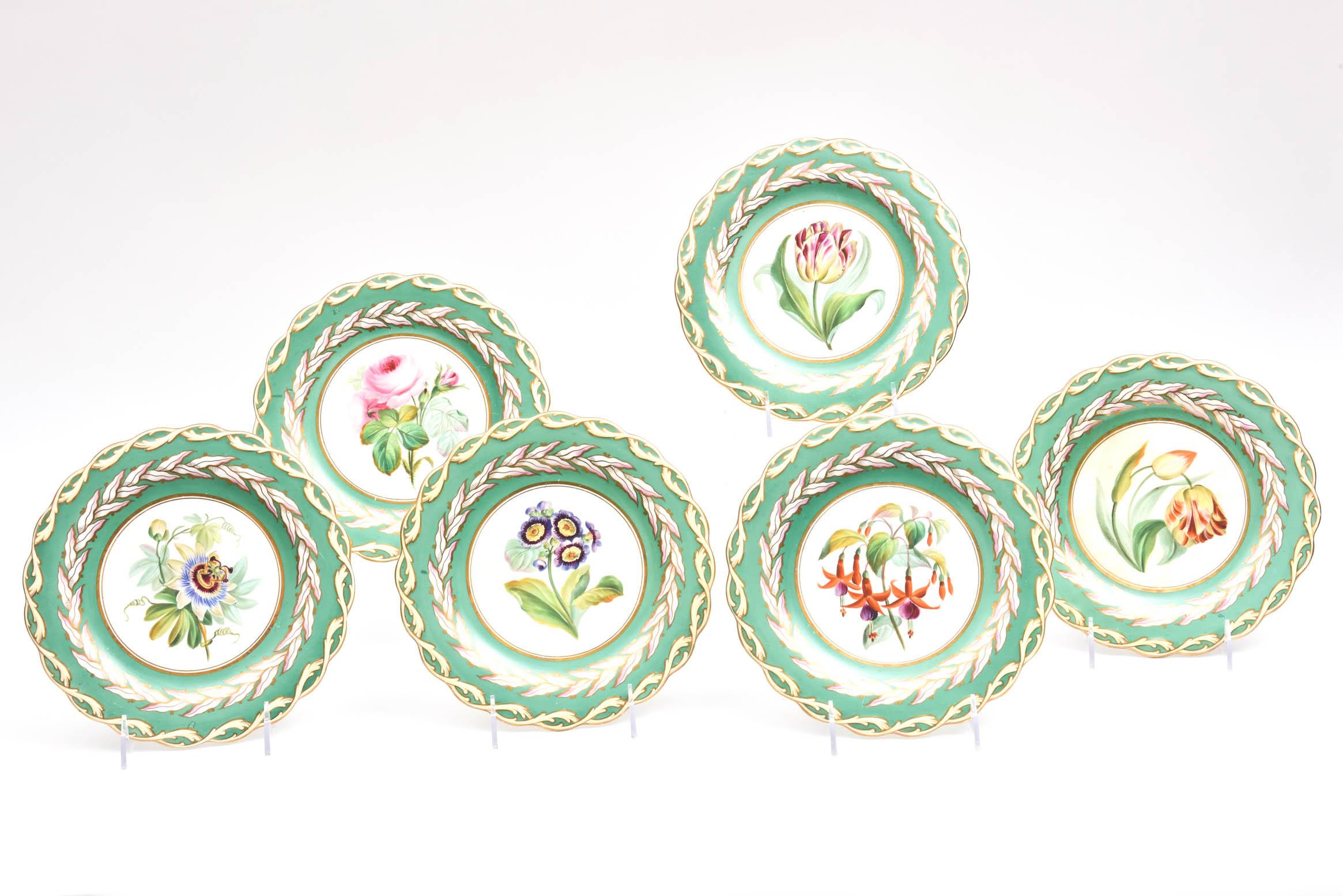 Enamel 12 Antique Botanical Plates, English Porcelain 19th Century Handpainted Florals