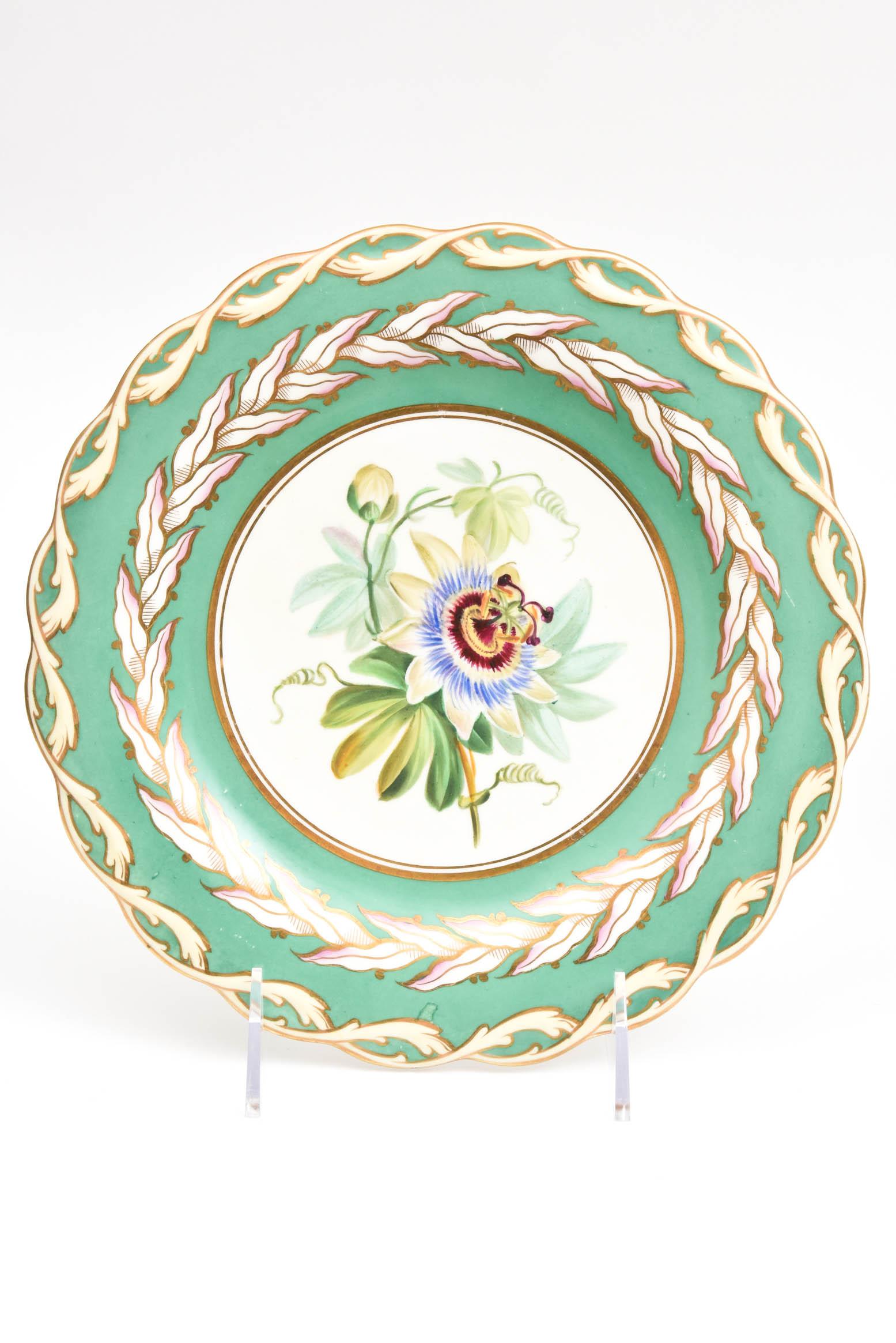 12 Antique Botanical Plates, English Porcelain 19th Century Handpainted Florals 1