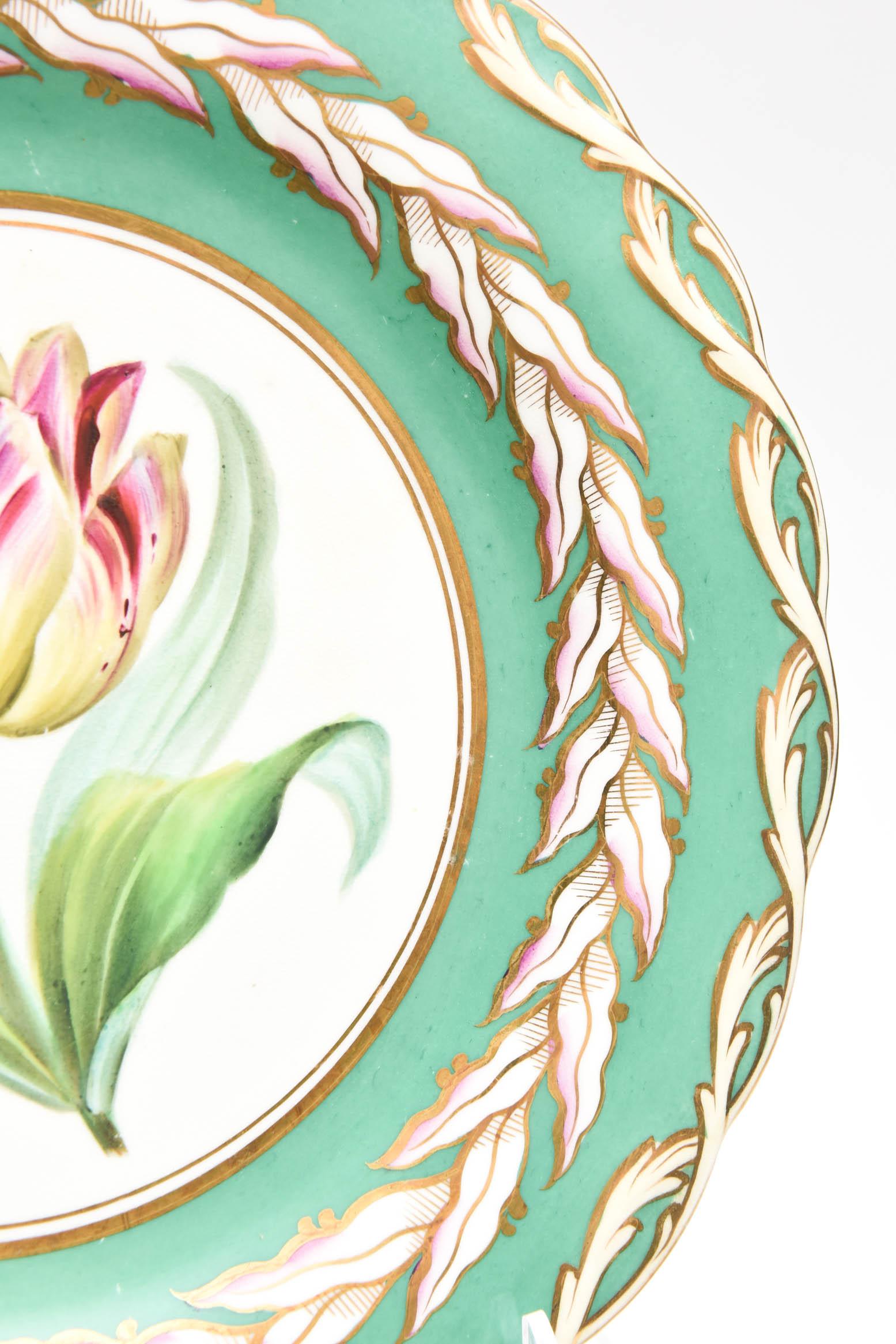 12 Antique Botanical Plates, English Porcelain 19th Century Handpainted Florals 3