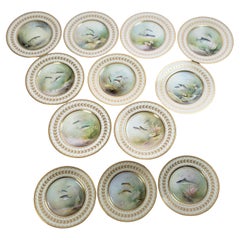 12 Used Minton Hand-Painted Cabinet Plates Signed A. Holland Depicting Fish