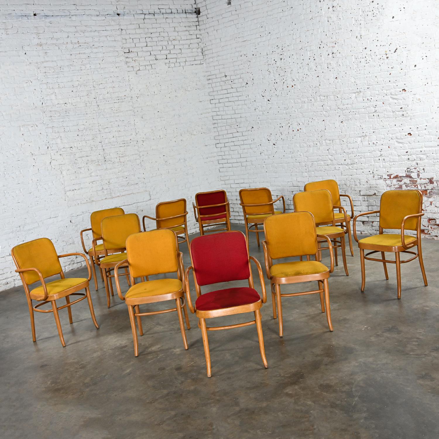 Wonderful vintage Bauhaus beech bentwood frame Thonet Josef Hoffman Prague 811 style armed dining chairs by Falcon Products Inc., Set of 12. Beautiful condition, keeping in mind that these are vintage and not new so will have signs of use and wear