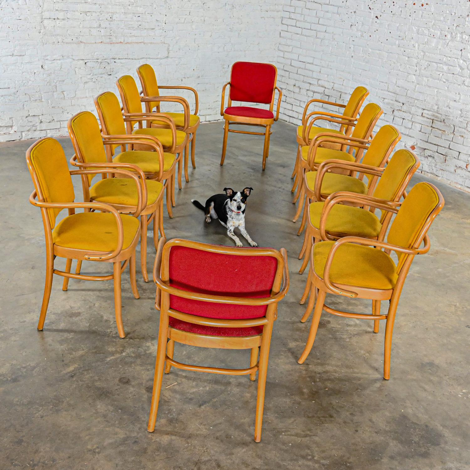 Macédonien 12 chaises de salle à manger Bauhaus en hêtre courbé J Hoffman Prague 811 style Thonet en vente