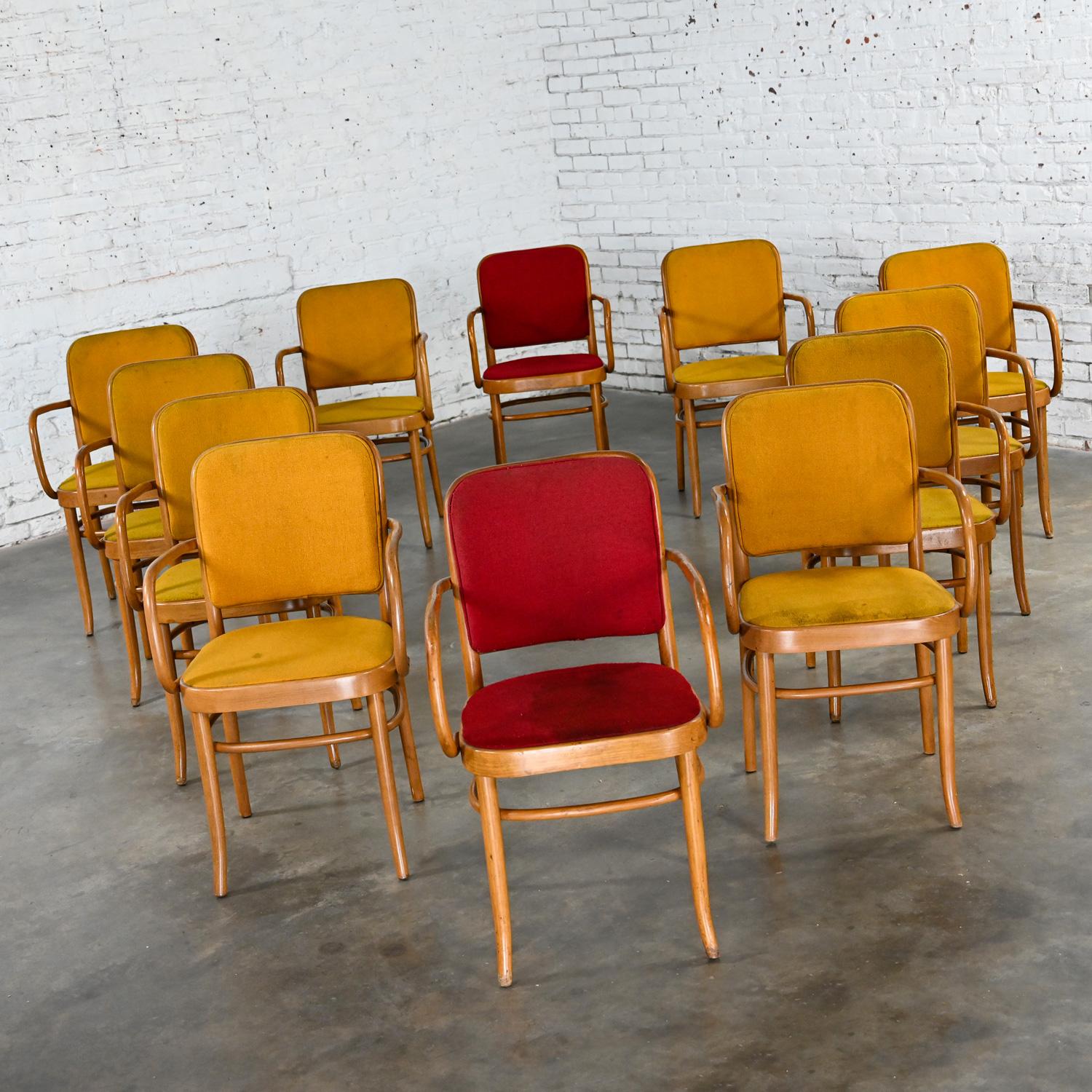 12 chaises de salle à manger Bauhaus en hêtre courbé J Hoffman Prague 811 style Thonet Bon état - En vente à Topeka, KS