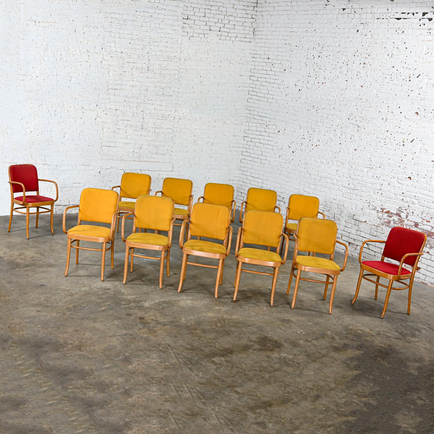 12 gebogene Bauhaus-Esszimmerstühle aus Buche und Bugholz J Hoffman Prag 811 im Stil Thonet (20. Jahrhundert) im Angebot