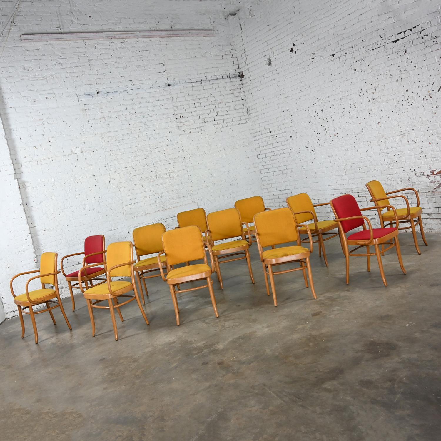 12 gebogene Bauhaus-Esszimmerstühle aus Buche und Bugholz J Hoffman Prag 811 im Stil Thonet (Stoff) im Angebot