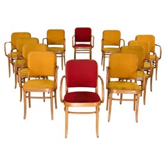 12 gebogene Bauhaus-Esszimmerstühle aus Buche und Bugholz J Hoffman Prag 811 im Stil Thonet