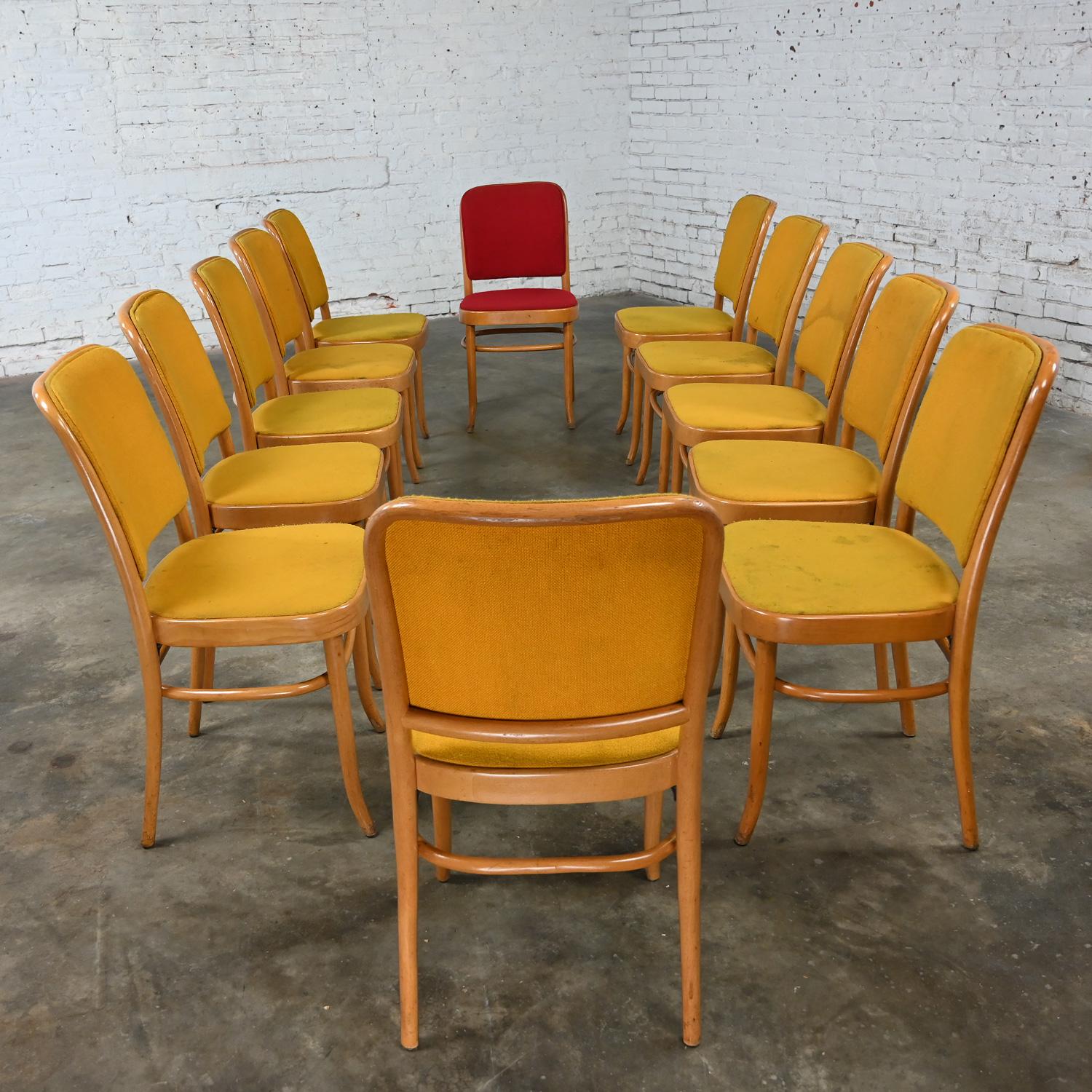 12 chaises de salle à manger Bauhaus sans accoudoirs Hoffman Prague 811 style Thonet en vente 6