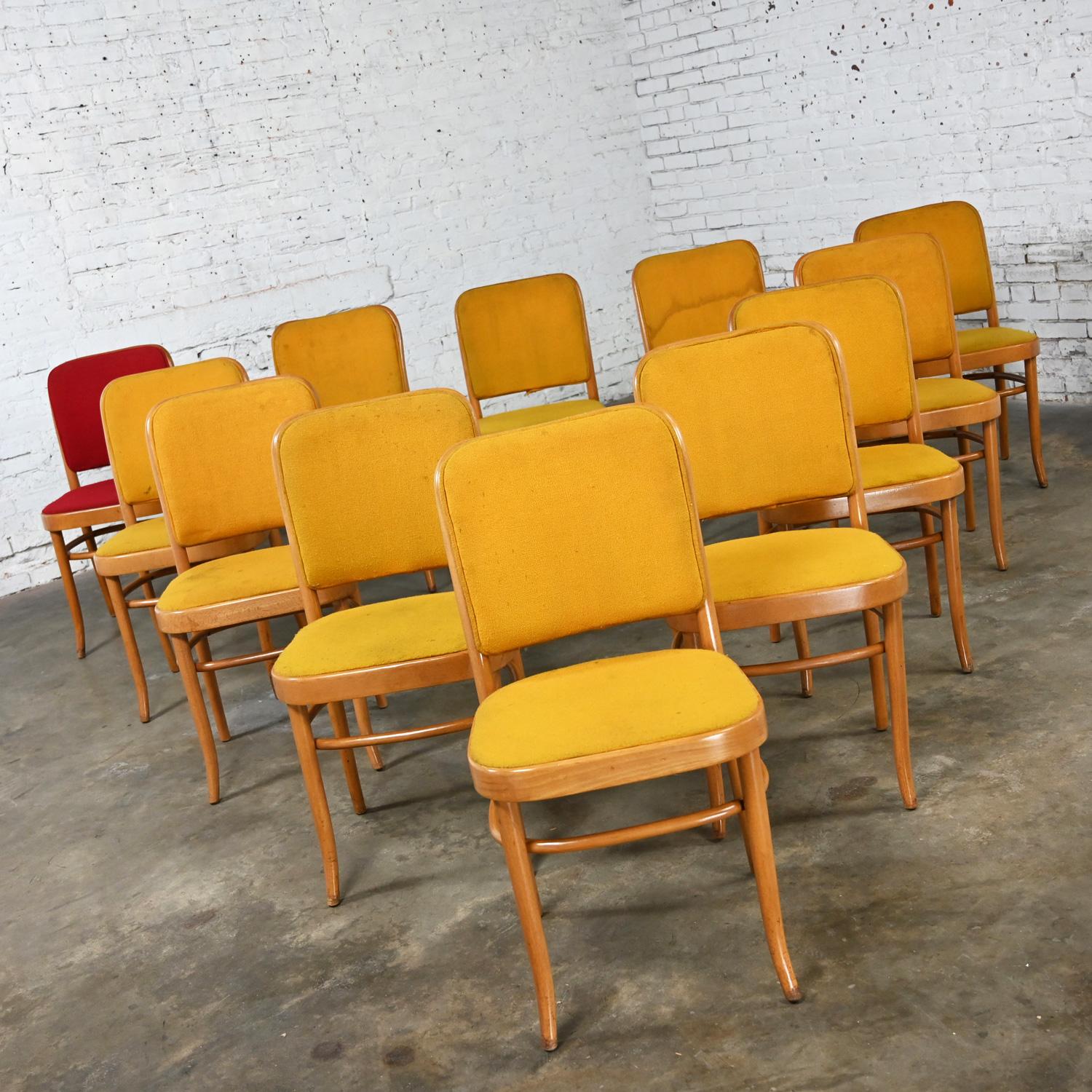 Wonderful vintage Bauhaus beech bentwood frame Thonet Josef Hoffman Prague 811 style armless side dining chairs by Falcon Products Inc., set of 12. Beautiful condition, keeping in mind that these are vintage and not new so will have signs of use and