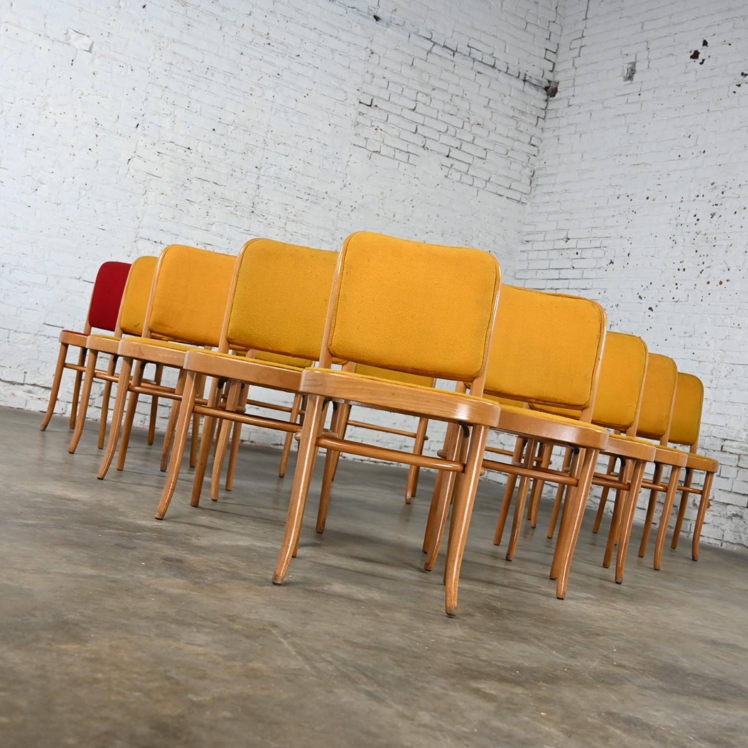12 armlose Bauhaus-Esszimmerstühle aus Buche und Bugholz Hoffman Prag 811 im Stil Thonet (Mazedonisch) im Angebot