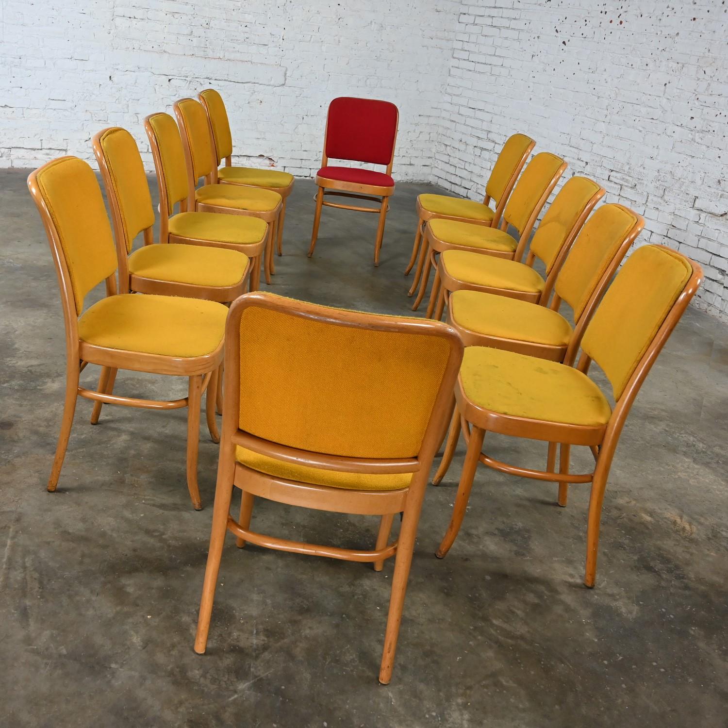 12 armlose Bauhaus-Esszimmerstühle aus Buche und Bugholz Hoffman Prag 811 im Stil Thonet (20. Jahrhundert) im Angebot