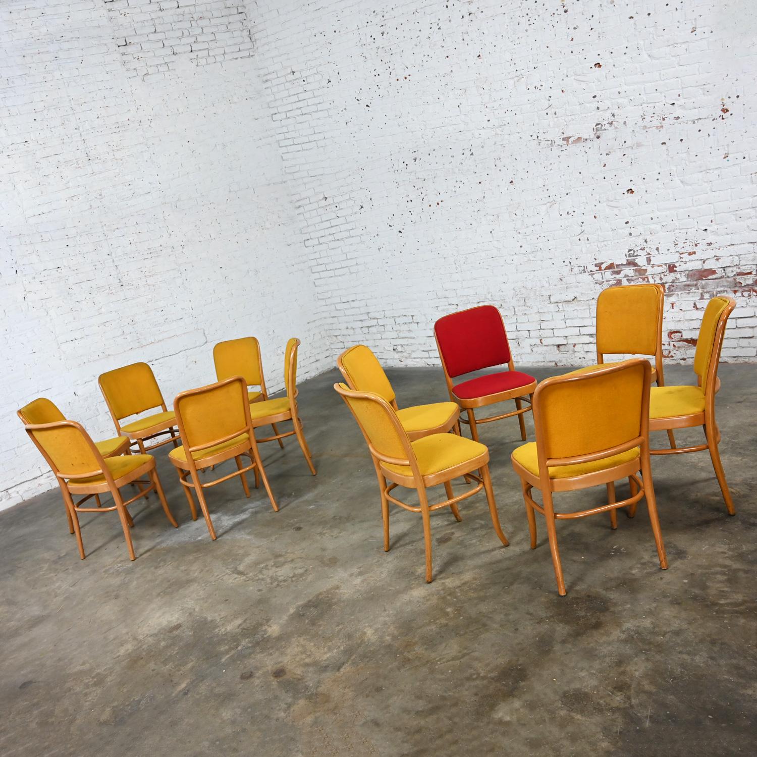 12 armlose Bauhaus-Esszimmerstühle aus Buche und Bugholz Hoffman Prag 811 im Stil Thonet (Stoff) im Angebot
