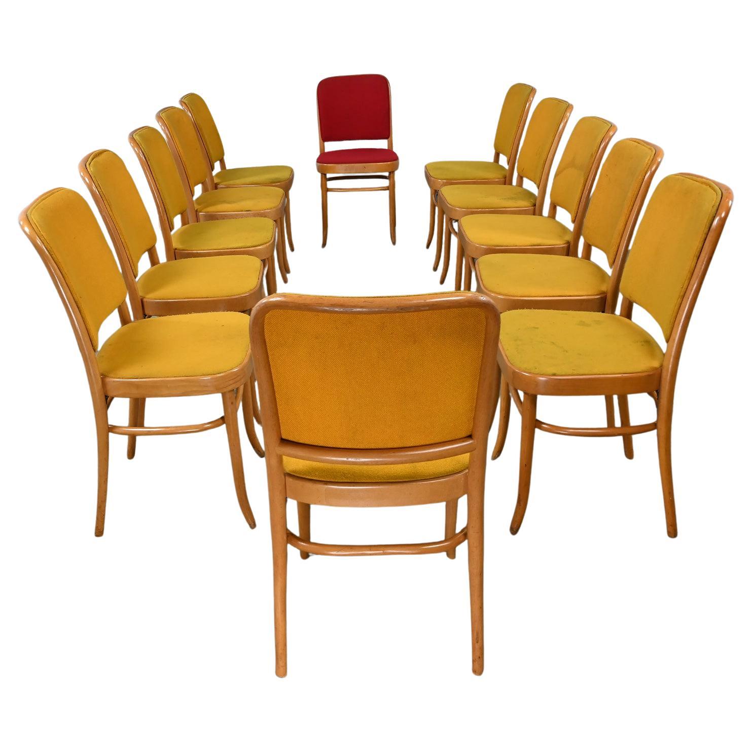 12 armlose Bauhaus-Esszimmerstühle aus Buche und Bugholz Hoffman Prag 811 im Stil Thonet im Angebot