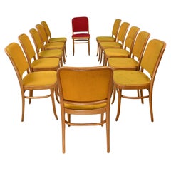 Used 12 Armless Bauhaus Beech Bentwood Hoffman Prague 811 Dining Chairs Style Thonet