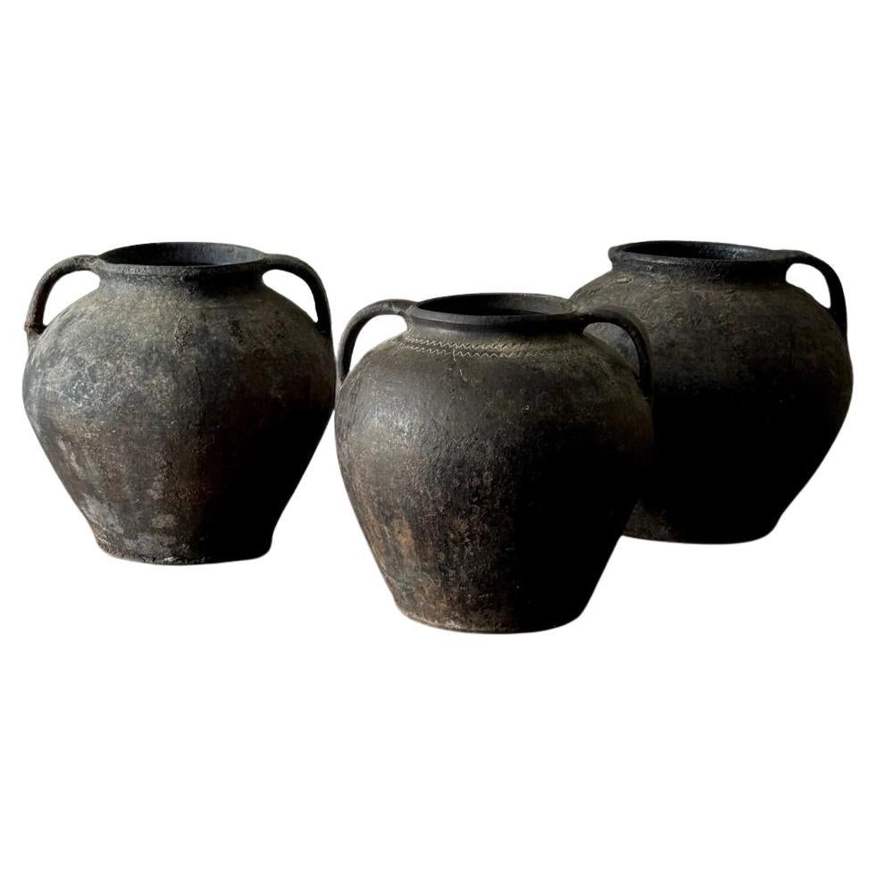 12 schwarze Terrakotta-Töpfe im Angebot