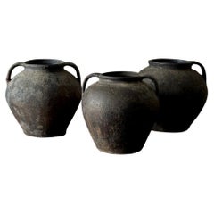 12 vasi di terracotta neri