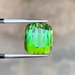 12 Carats Grass Green with Light Blue Shade Tourmaline Cushion Cut Gemstone 12mm