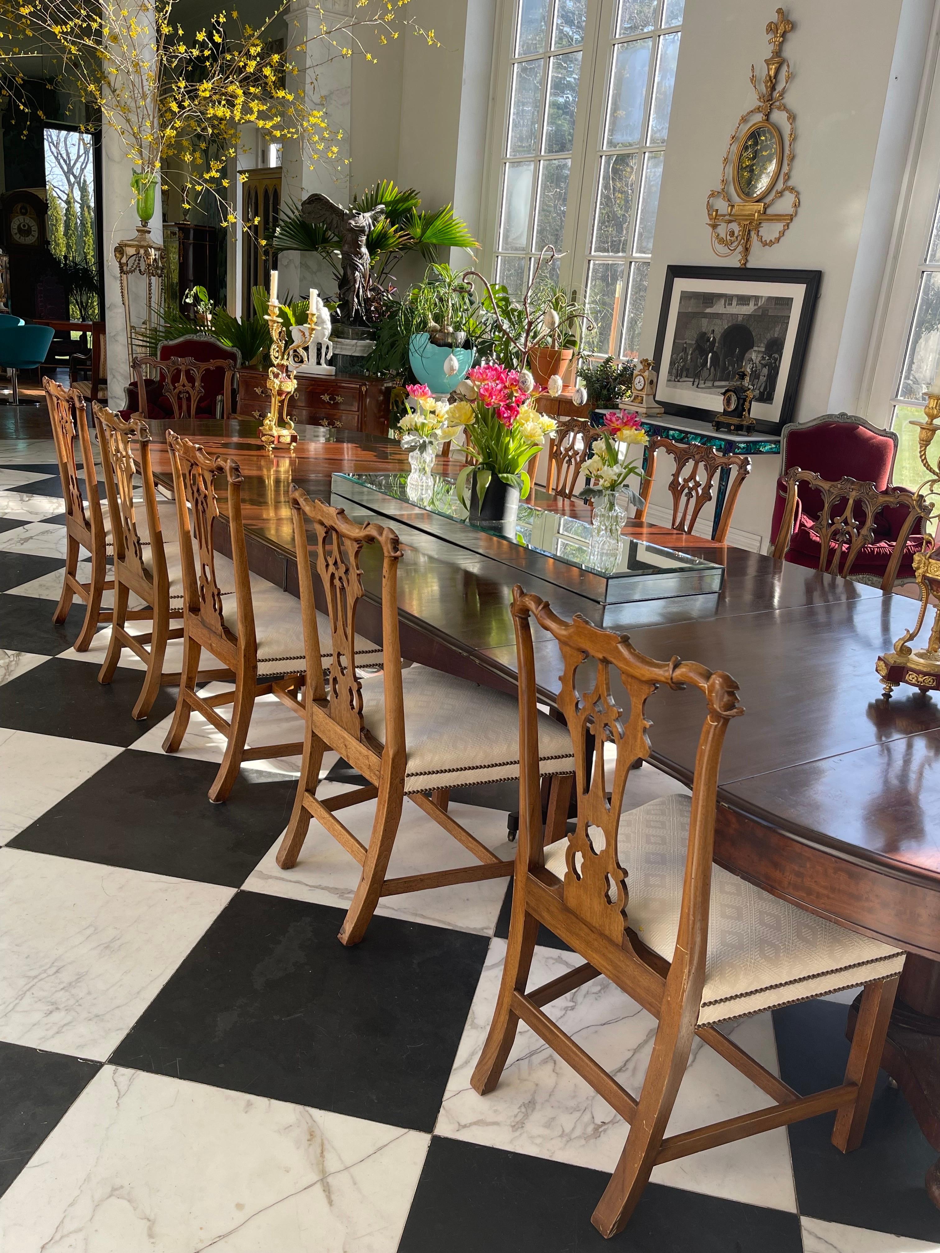 12 Chippendale Dining Chairs 3