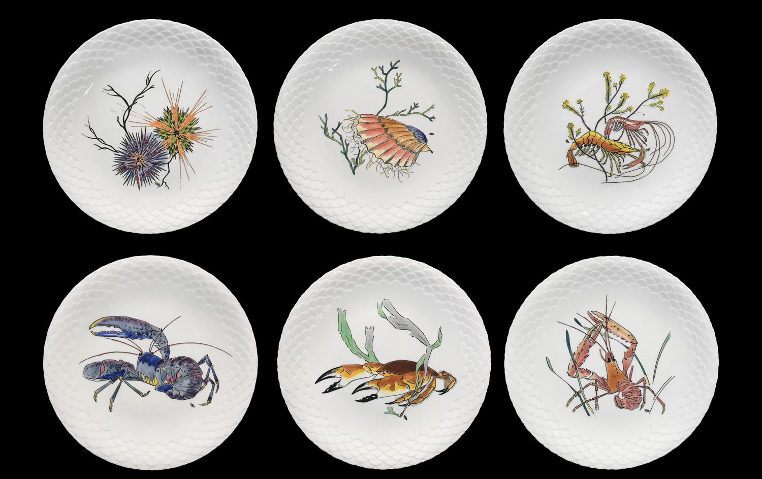 French 12 Dinner Plates Shellfishes