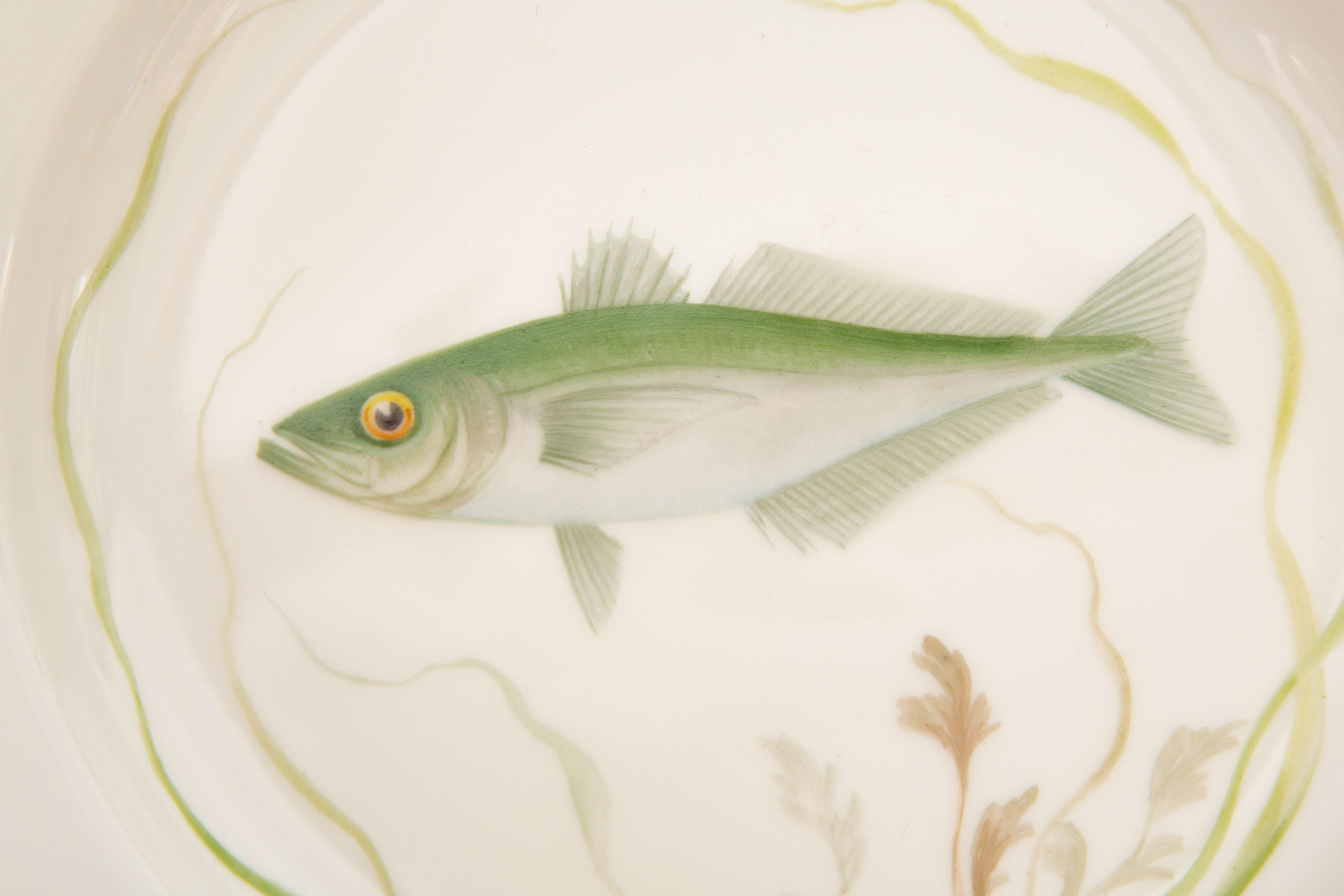 12 Flora Danica Fish Plates, Vintage and Vibrantly Painted, Royal Copenhagen For Sale 3