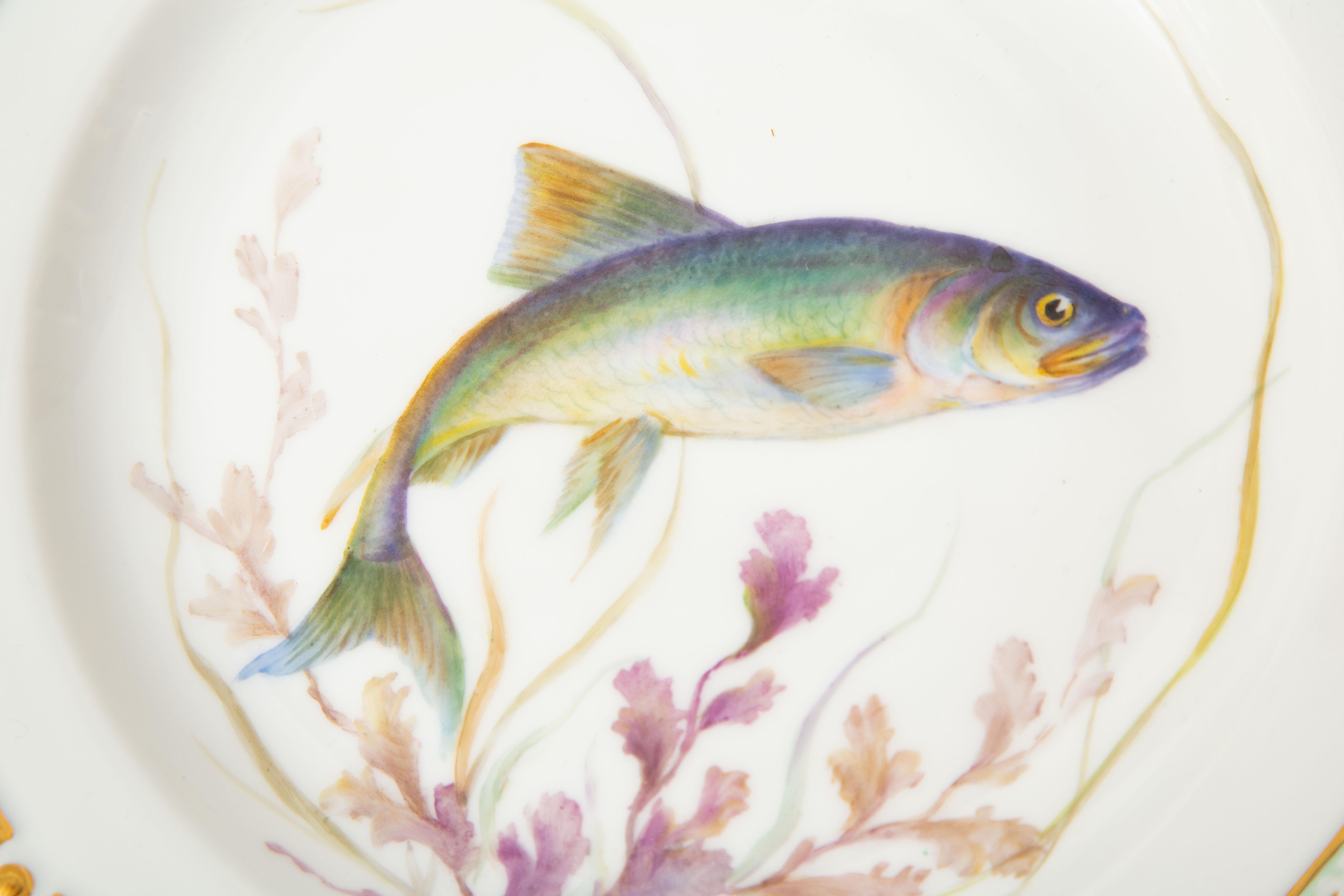 12 Flora Danica Fish Plates, Vintage and Vibrantly Painted, Royal Copenhagen For Sale 4