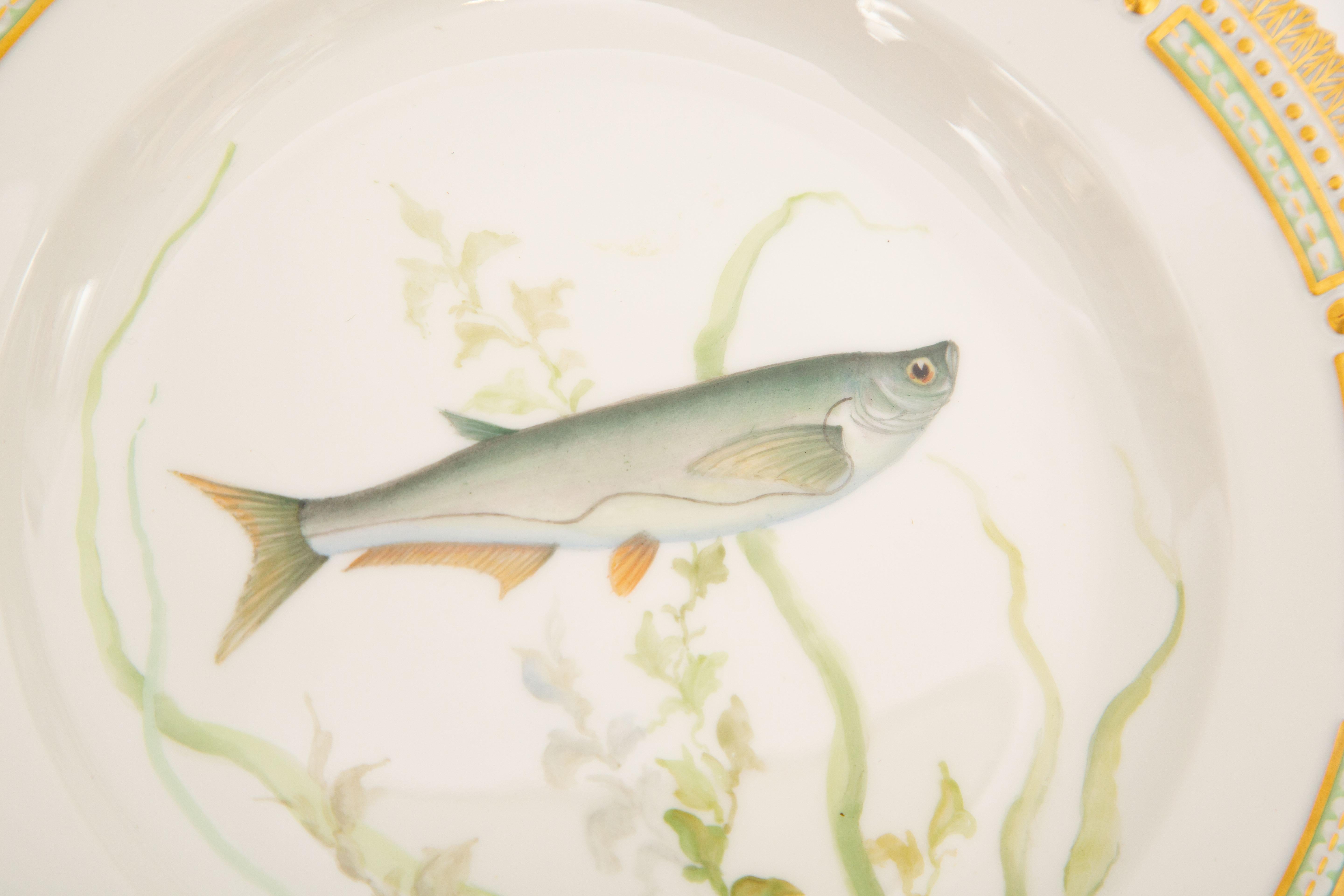 12 Flora Danica Fish Plates, Vintage and Vibrantly Painted, Royal Copenhagen In Good Condition For Sale In West Palm Beach, FL