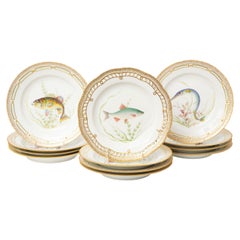 12 Flora-Danica-Fischteller, Vintage und lebendig bemalt, Royal Copenhagen
