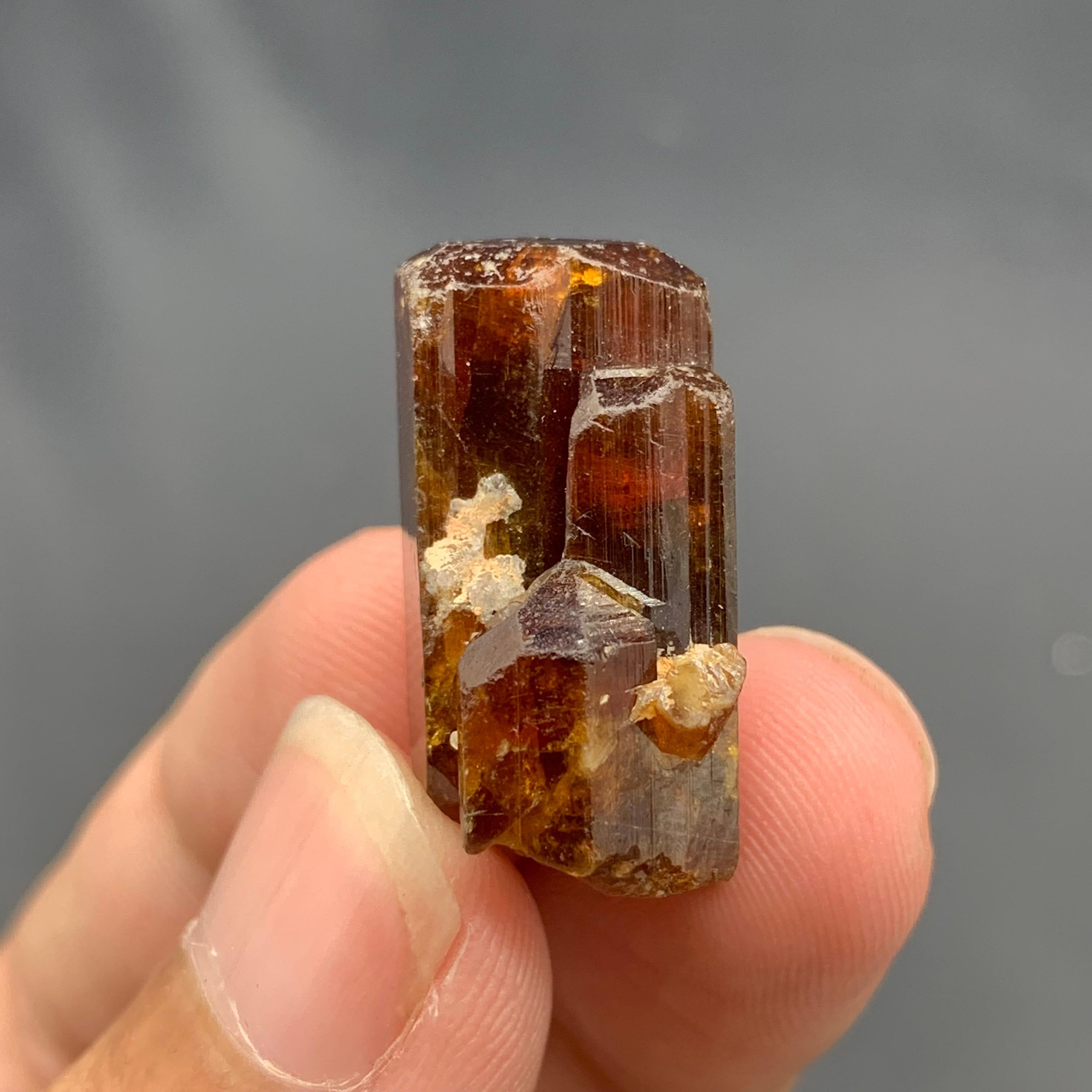 INFORMACIÓN SOBRE EL PRODUCTO:

Espécimen: Cristales de Bastnasita

Peso: 12 gramos

Dimensiones: Alto: 2,5 x Ancho: 1,5 x Fondo: 1,3 cm

Origen: Montañas Zagi, Hameed Abad, Kafoor Dheri, provincia de KPK, Pakistán.

Tratamiento: