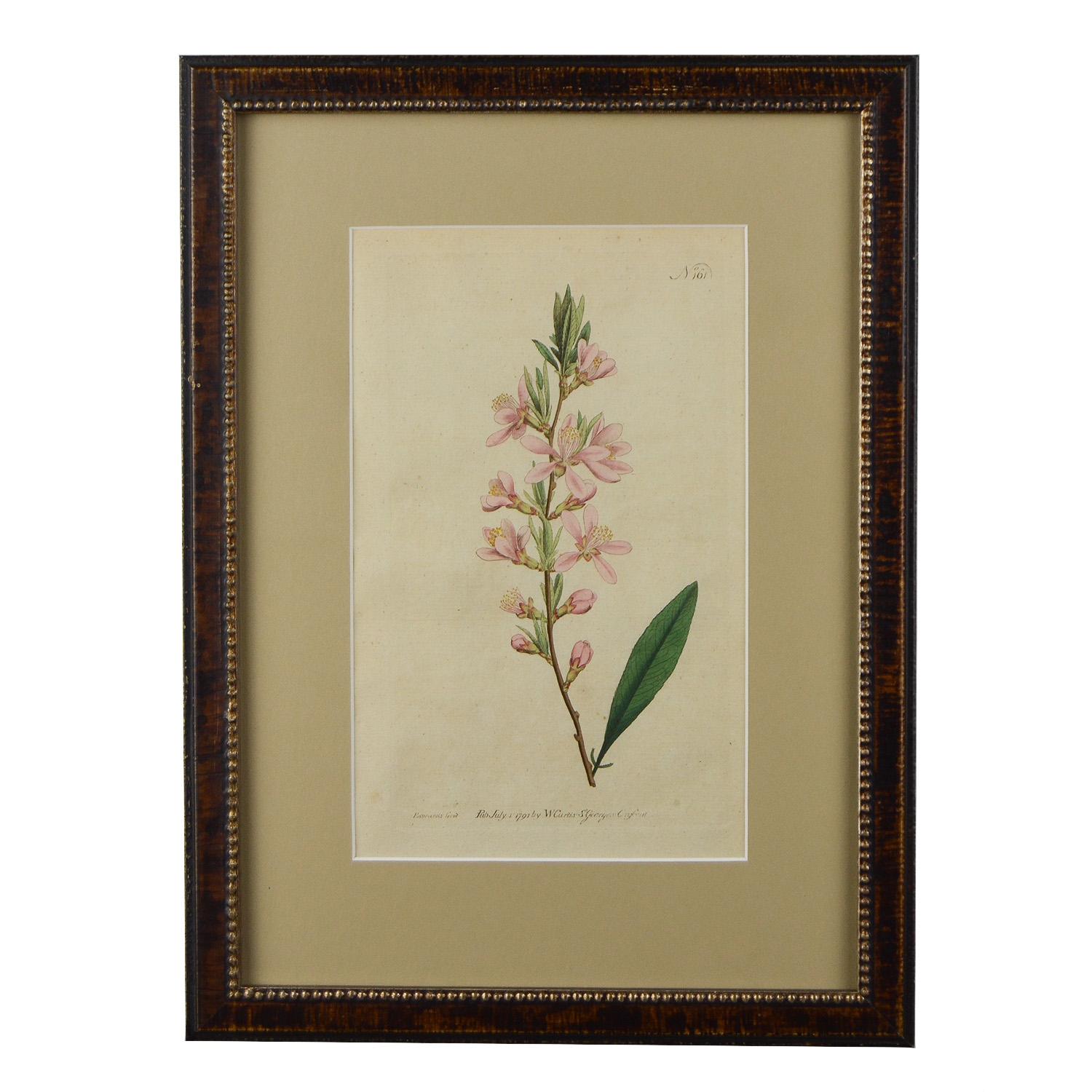 12 Hand Colored 18th Century Curtis Botanicals In Good Condition In Tetbury, Gloucestershire