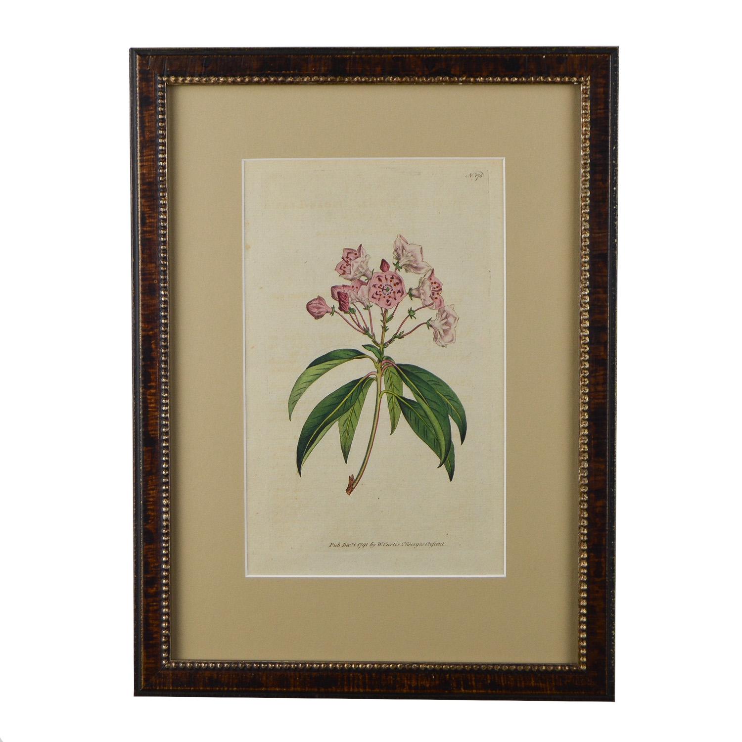18th Century and Earlier 12 Hand Colored 18th Century Curtis Botanicals