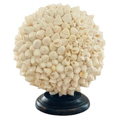 12” Large Sea Shell Encrusted Globe on Wooden Srand