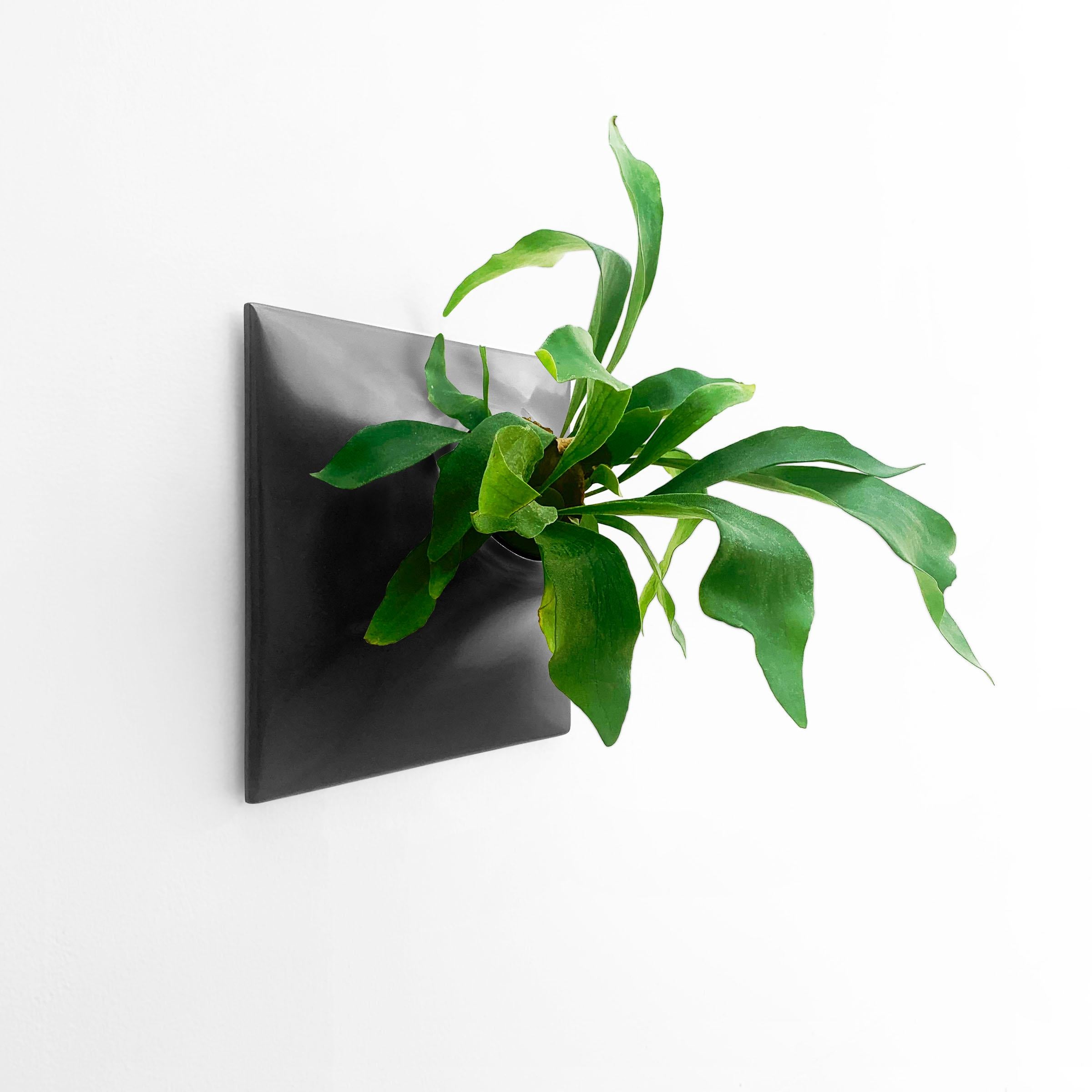 Cast Modern Ceramic Wall Planter, Plant Wall Sculpture, Wall Decor, Node 12