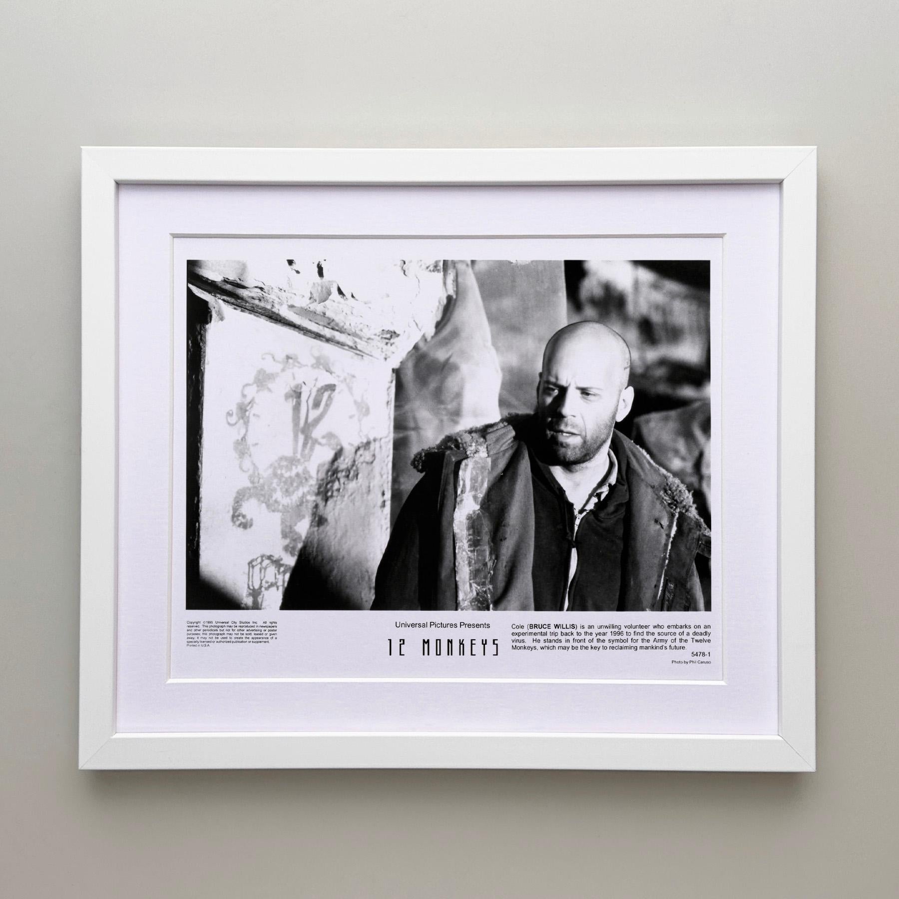 12 AFFEN 1995  Gerahmter Werbefilm Filmstill (Unbekannt) im Angebot