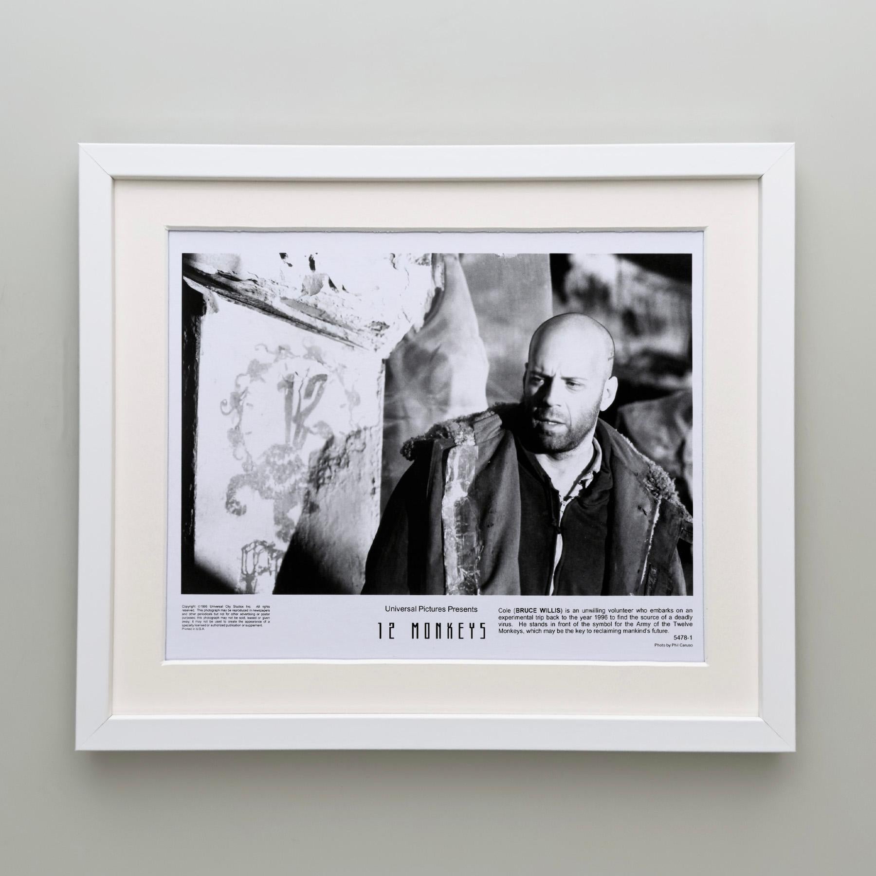 12 AFFEN 1995  Gerahmter Werbefilm Filmstill im Zustand „Gut“ im Angebot in Bath, Somerset