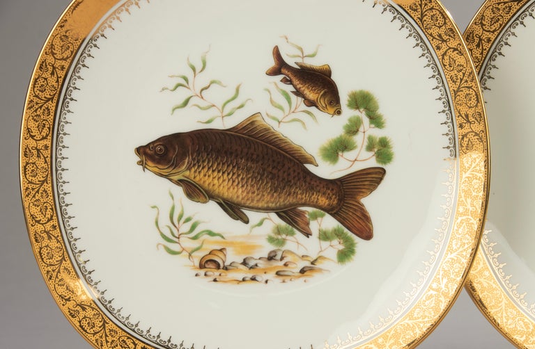 Plat À Poisson Porcelaine À VENDRE! - FR