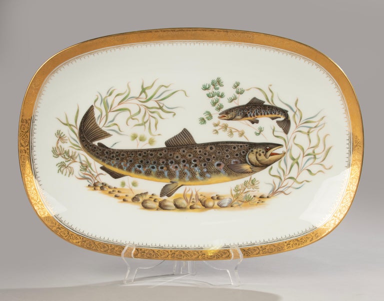 SERVICE A CAFE En Porcelaine Fine Mitterteich Bavaria Dore Decor De