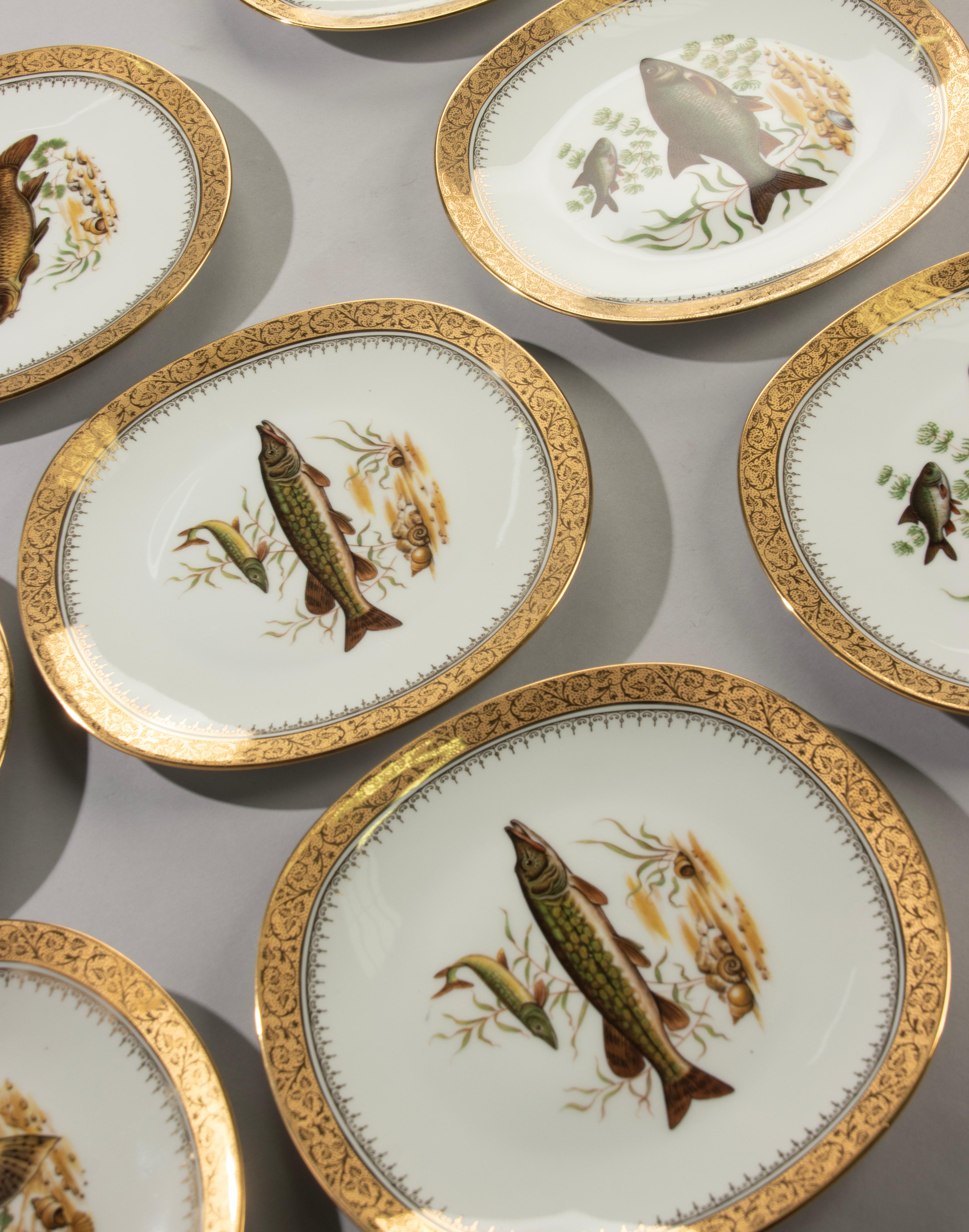 Français Service à poisson 12 pièces - Limoges - Porcelaine avec ornements dorés en vente