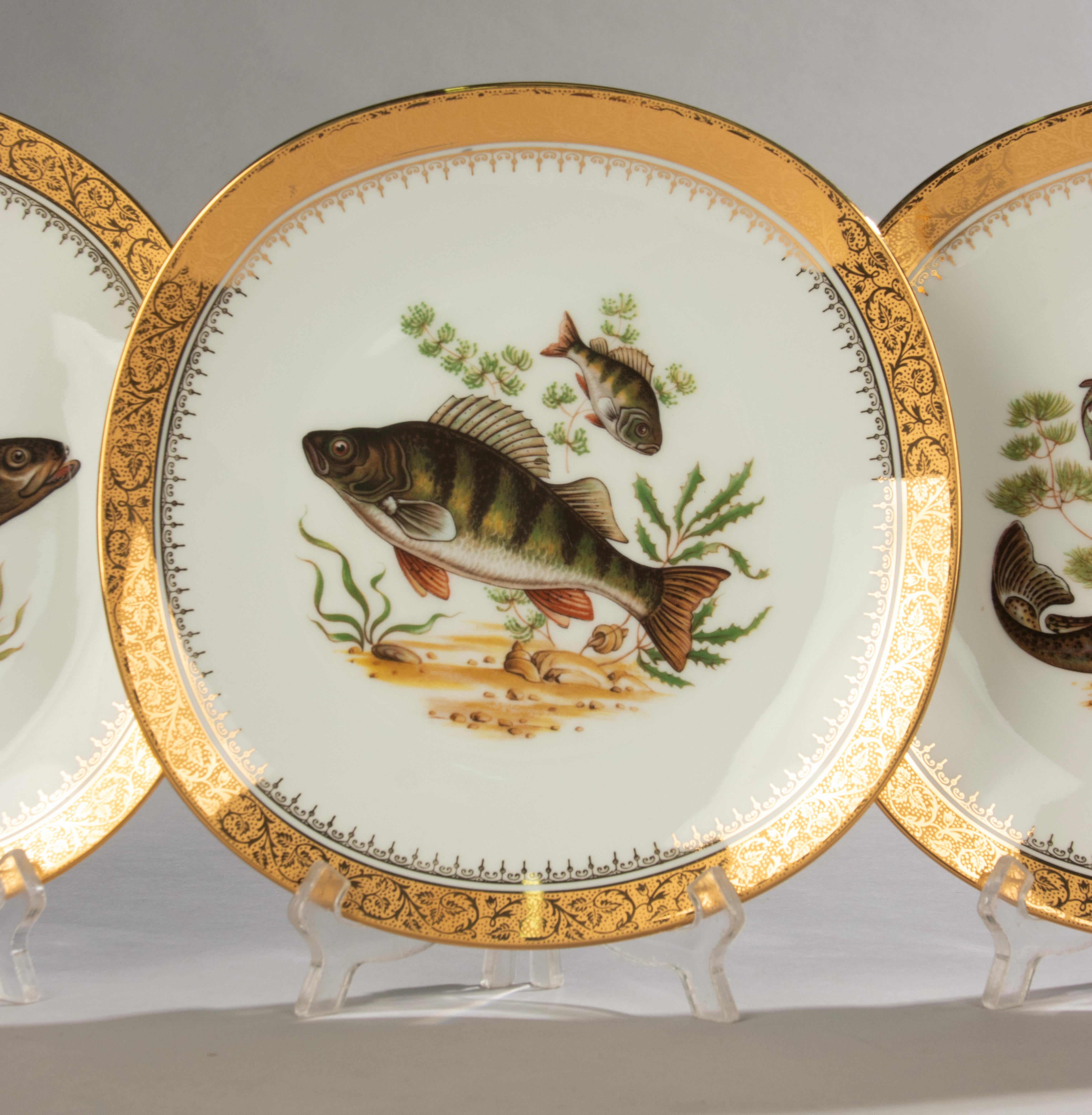 Service à poisson 12 pièces - Limoges - Porcelaine avec ornements dorés en vente 3
