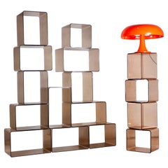 Système d'étagères modulaires en plexiglas 12 Pieces par Roche Bobois, France, 1970