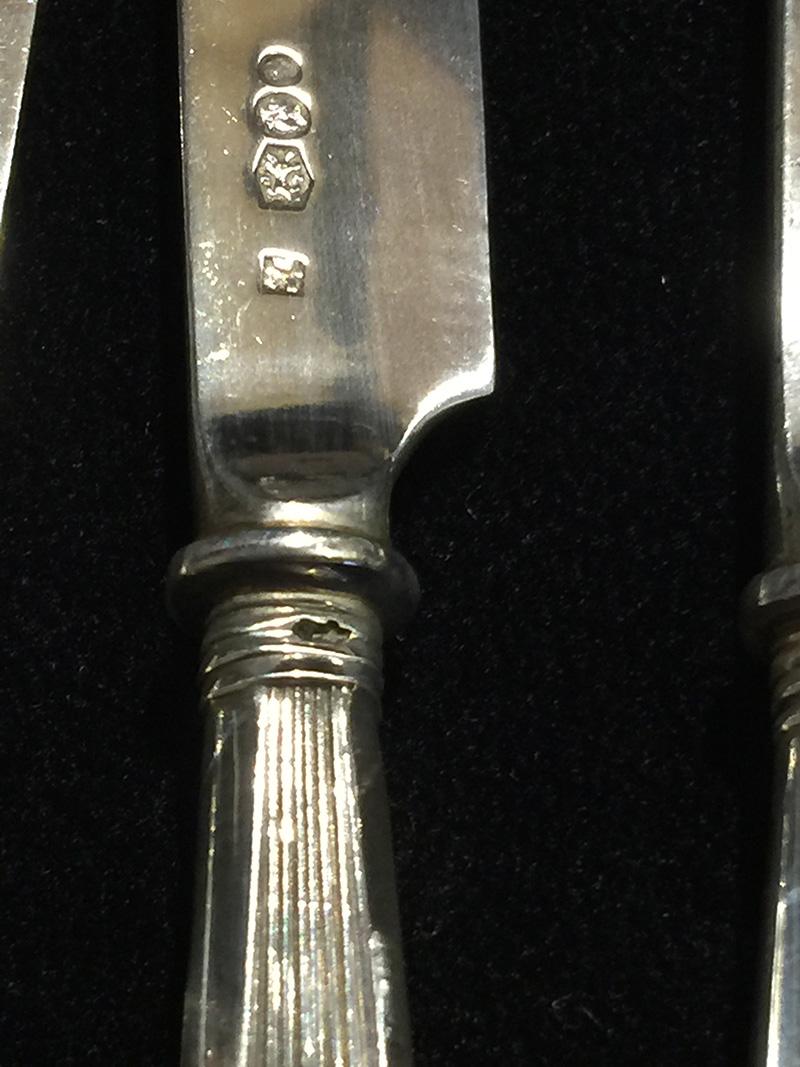 12 Pieces Rib Model Silver Fruit Knifes, Netherlands, 1920 In Good Condition For Sale In Delft, NL