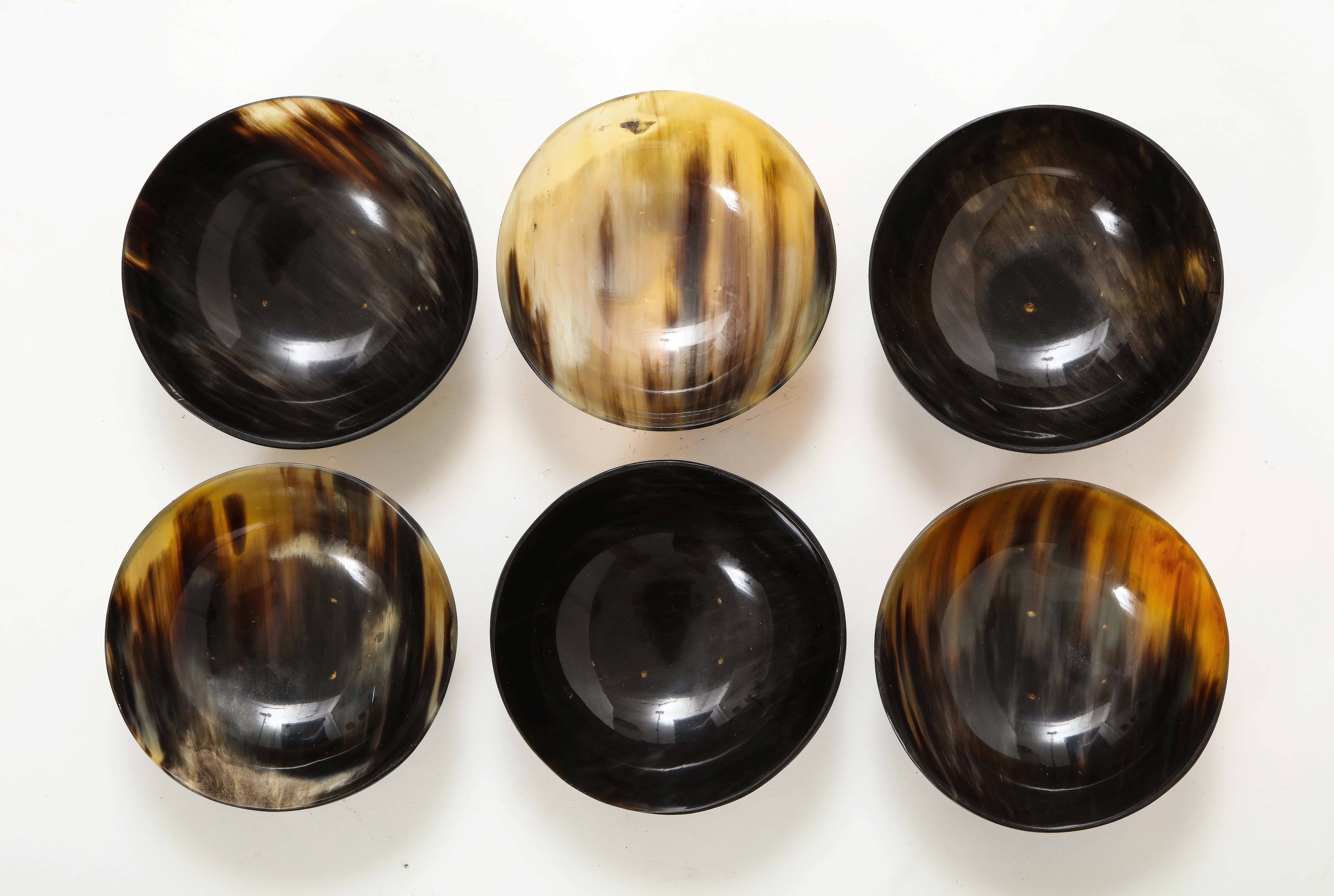 Modern 12 Polished Horn Bowls