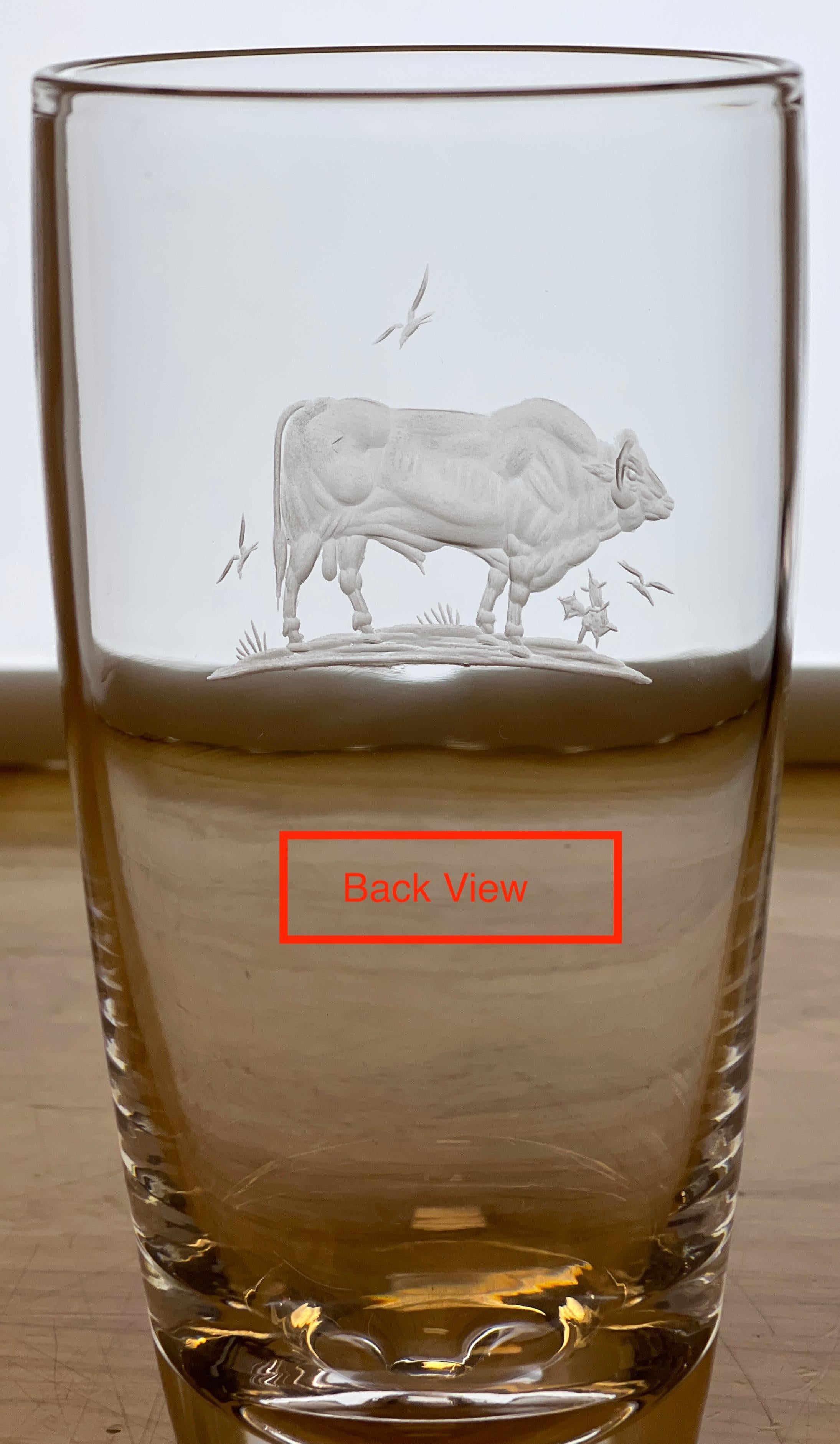 Modern 12 Steuben/ George Thompson Engraved Prized Bull & Game Fish Glasses For Sale