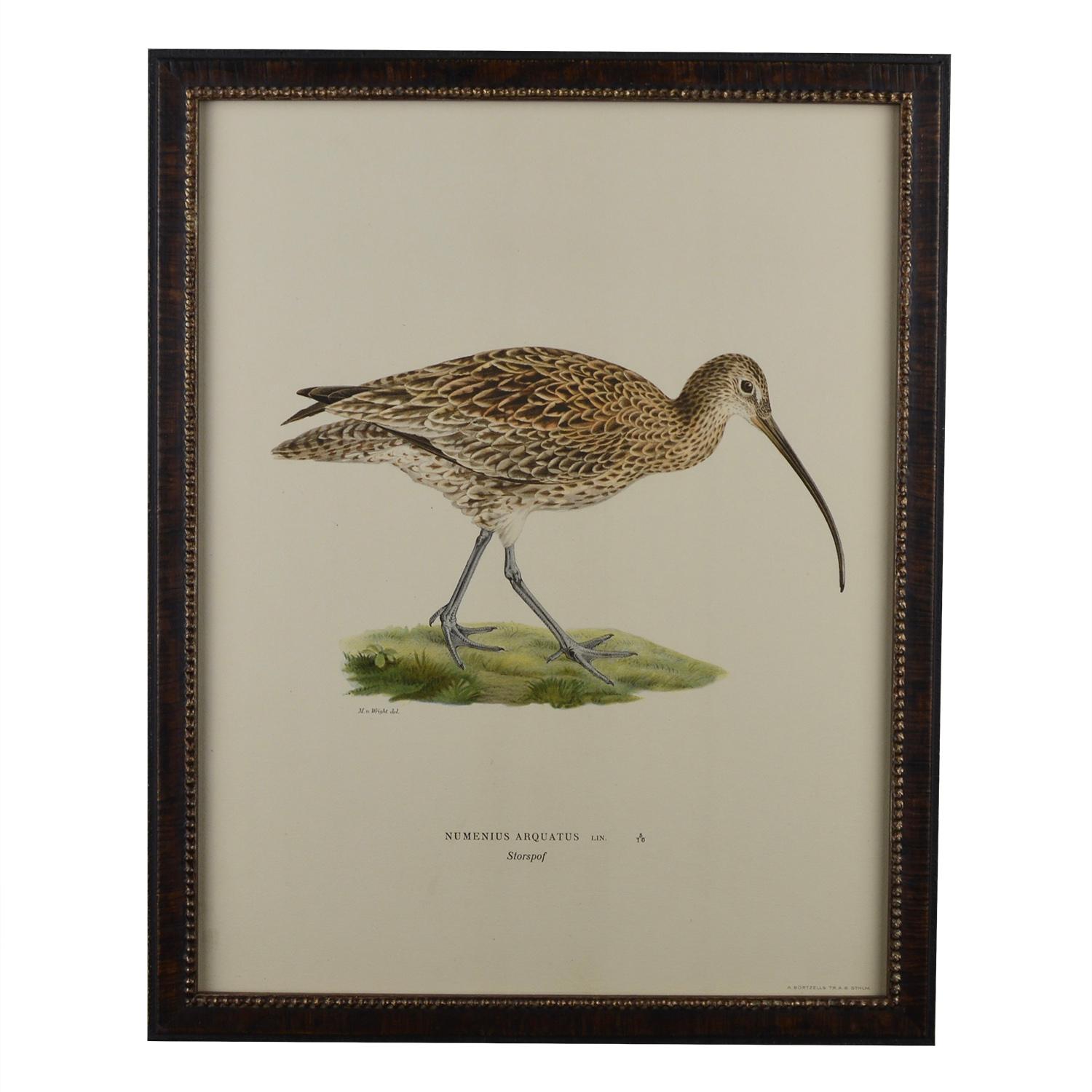 12 Swedish Water Bird Chromolithographs 3