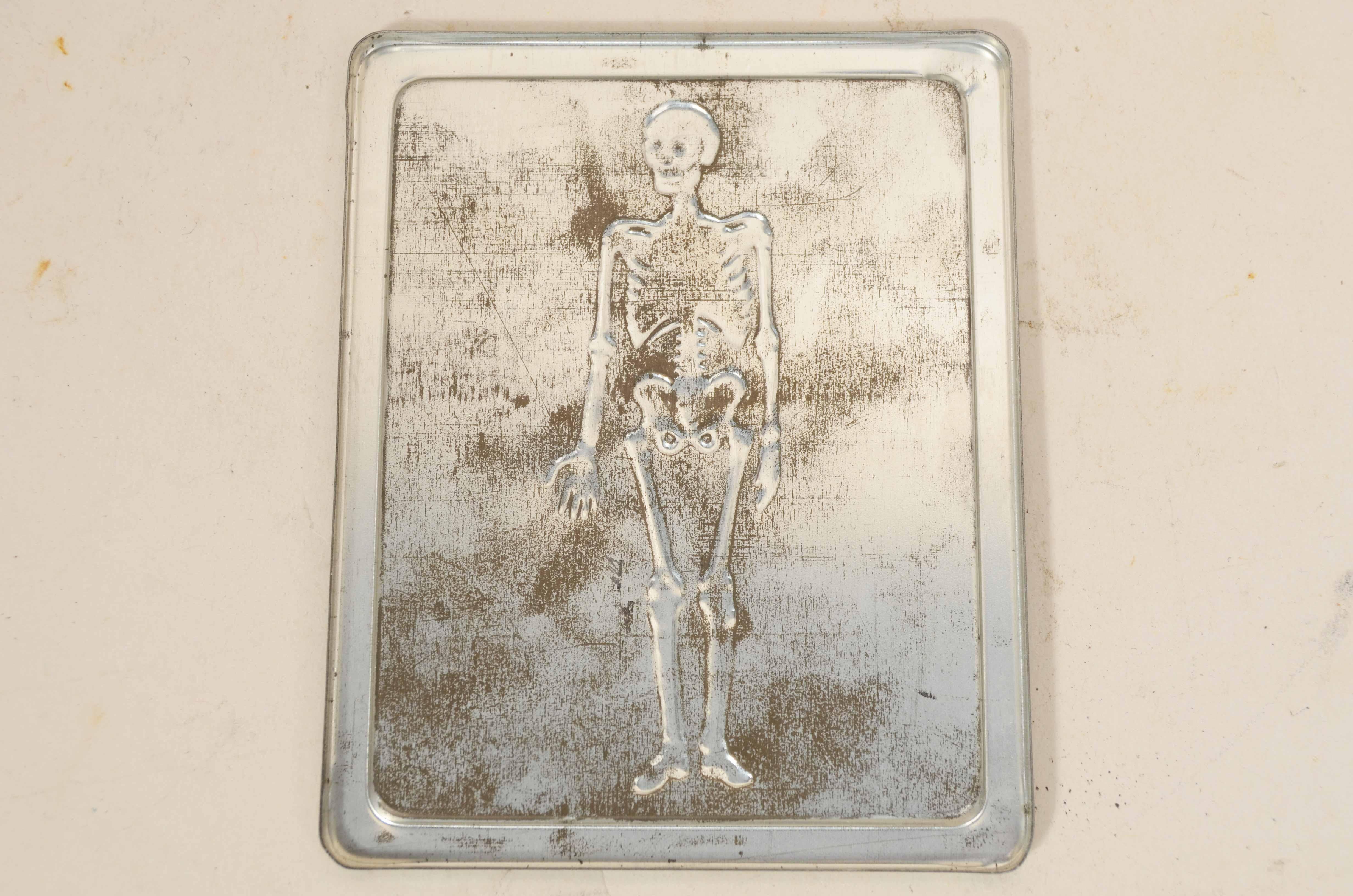12 tavole didattiche anatomiche in rilievo in latta del corpo umano Italia 1960 1