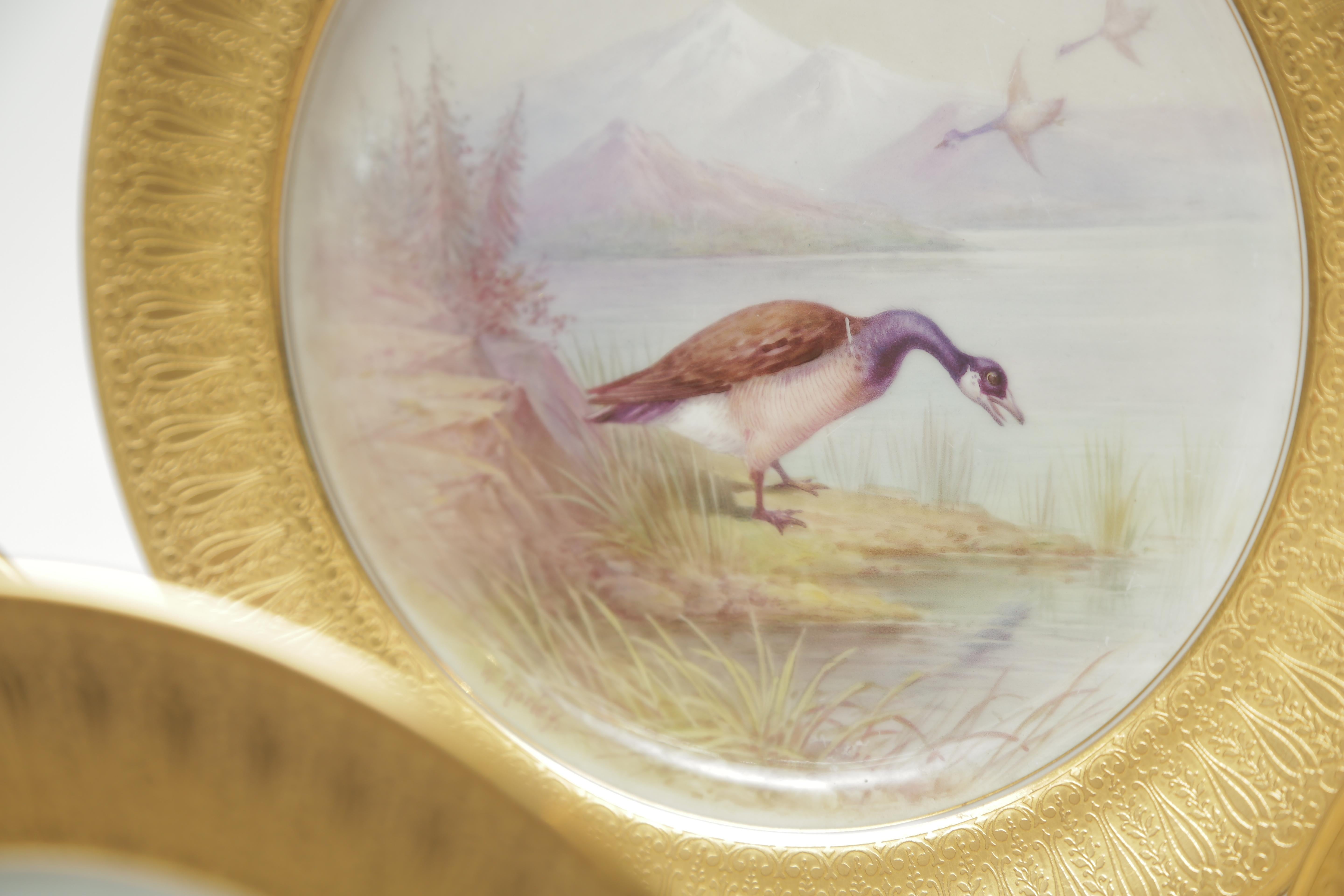 American 12 Tiffany Antique Porcelain Game Bird Plates, Hand Painted, circa 1920
