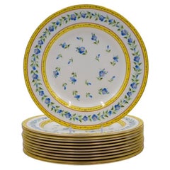 12 Tiffany & Co. Le Tallec Handpainted Porcelain Plates