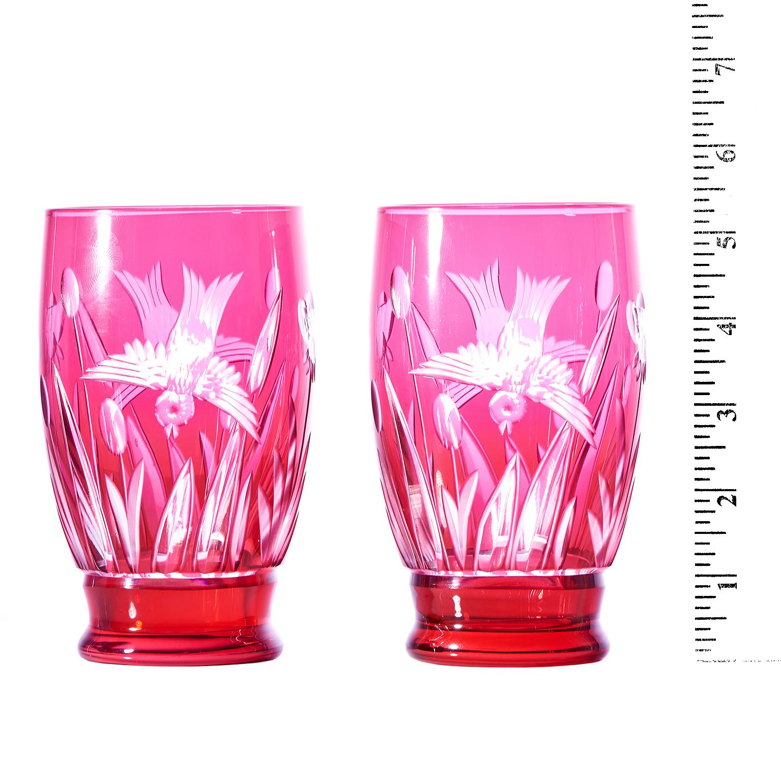 Cut Glass 12 Val St. Lambert Cranberry Tumblers with Birds c1920s Belgium For Sale