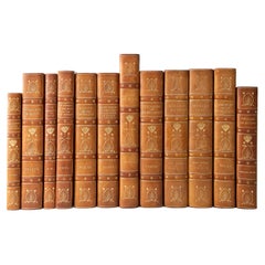 12 Volumes. Various Authors, Egyptology Collection