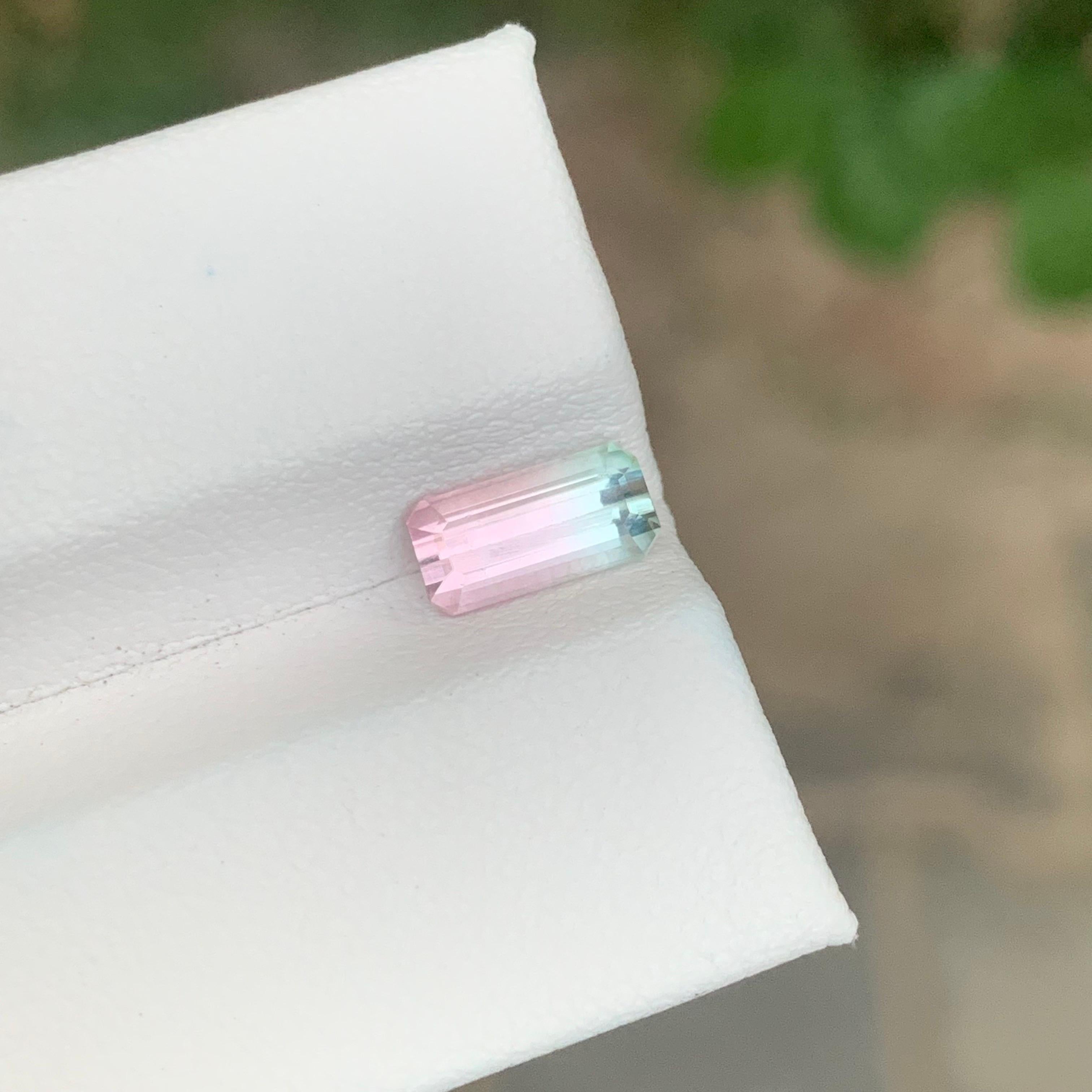 Tormalina bicolore sfaccettata

Peso: 1,20 Carati
Dimensioni: 8,7 x 4,3 x 3,8 mm
Colore: Rosa e verde mare 
Origine: Afghanistan
Trattamento: Non
Certificato: Su richiesta del cliente


La tormalina è una gemma affascinante nota per la sua notevole